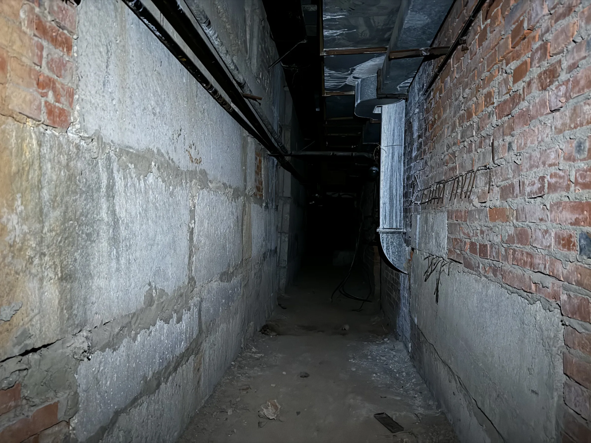 Ретро-подвал с плесенью, фото 16