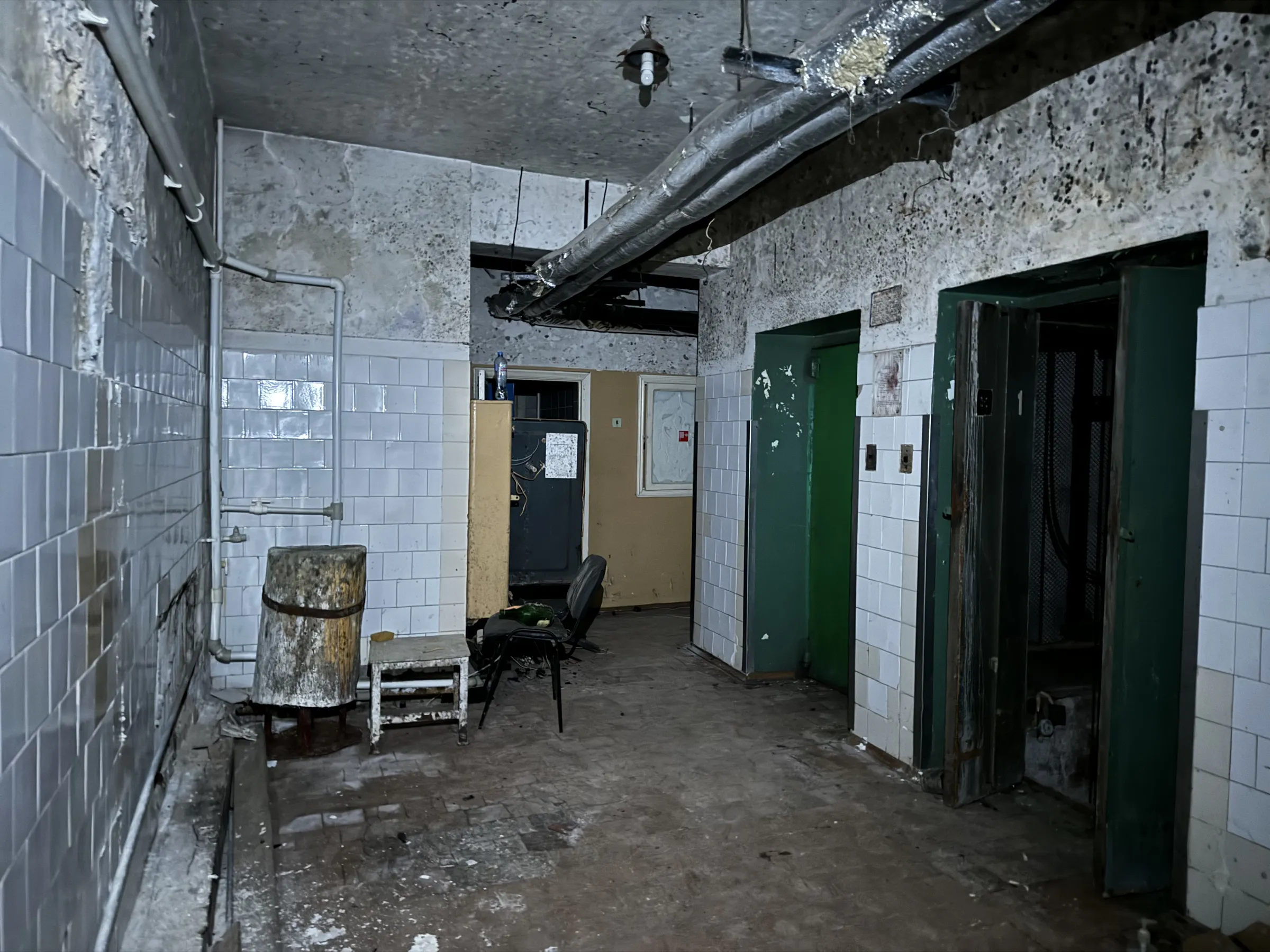 Ретро-подвал с плесенью, фото 6