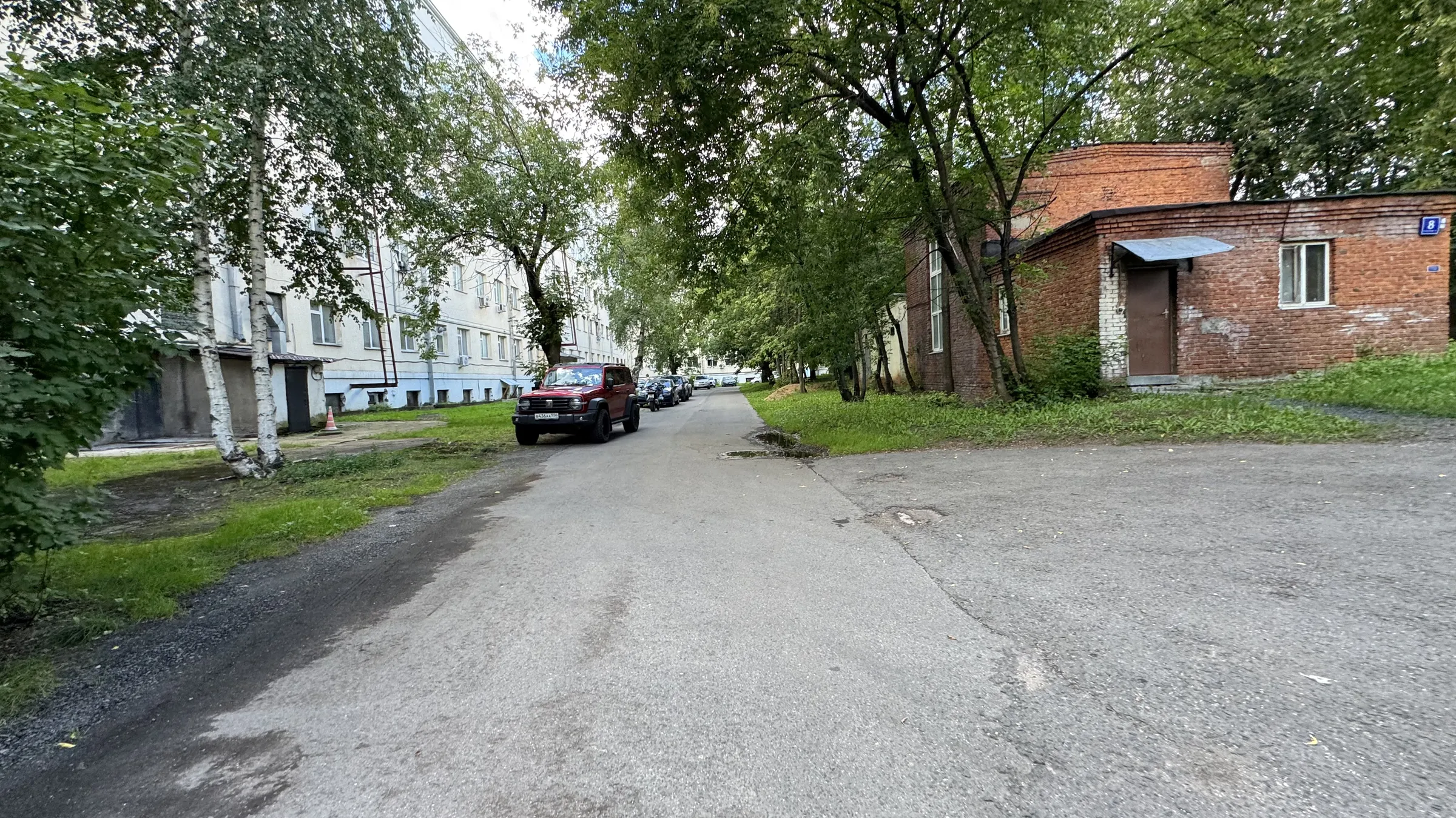 Старый двор с березами, фото 4