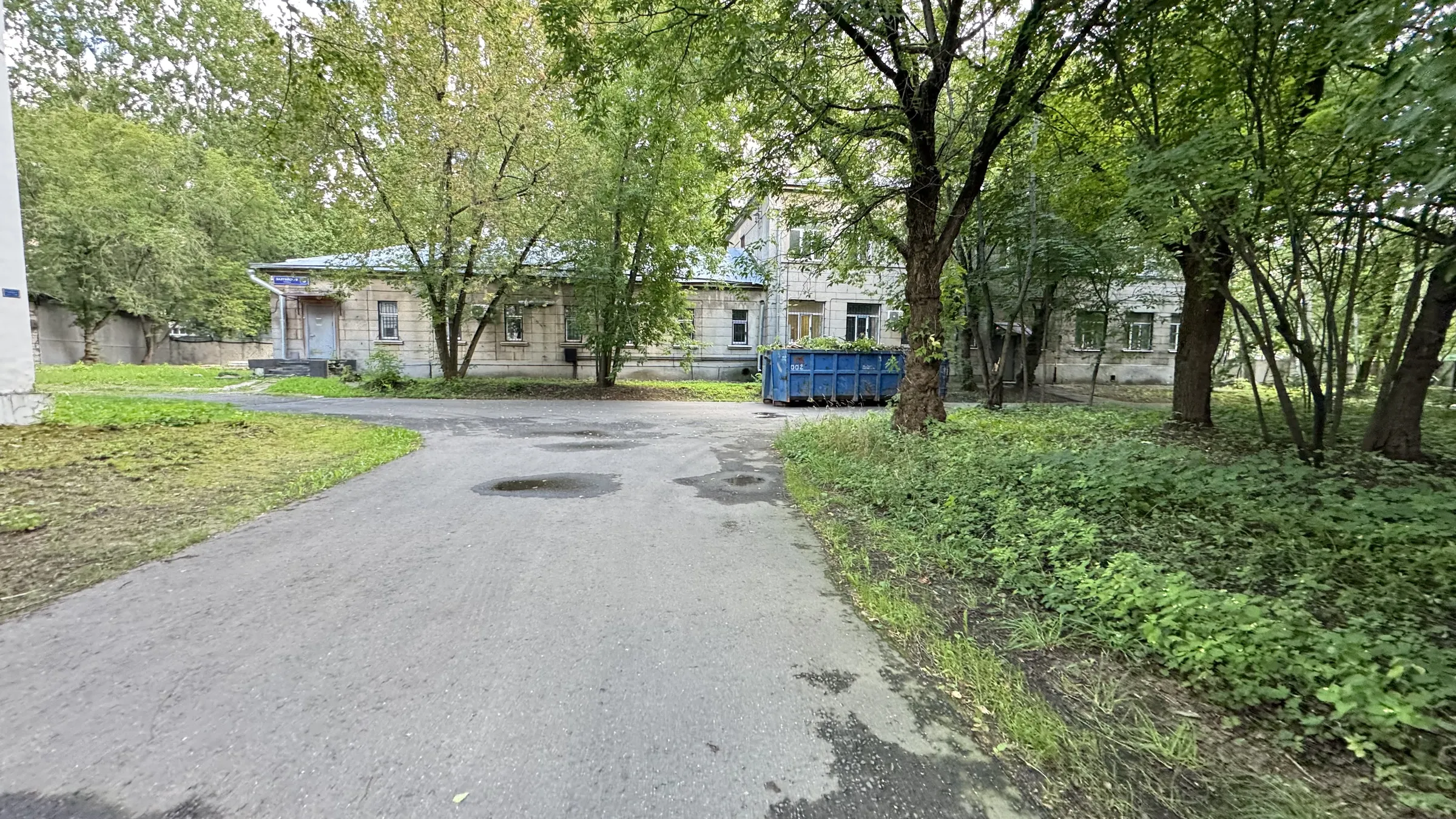 Старый двор с березами, фото 5