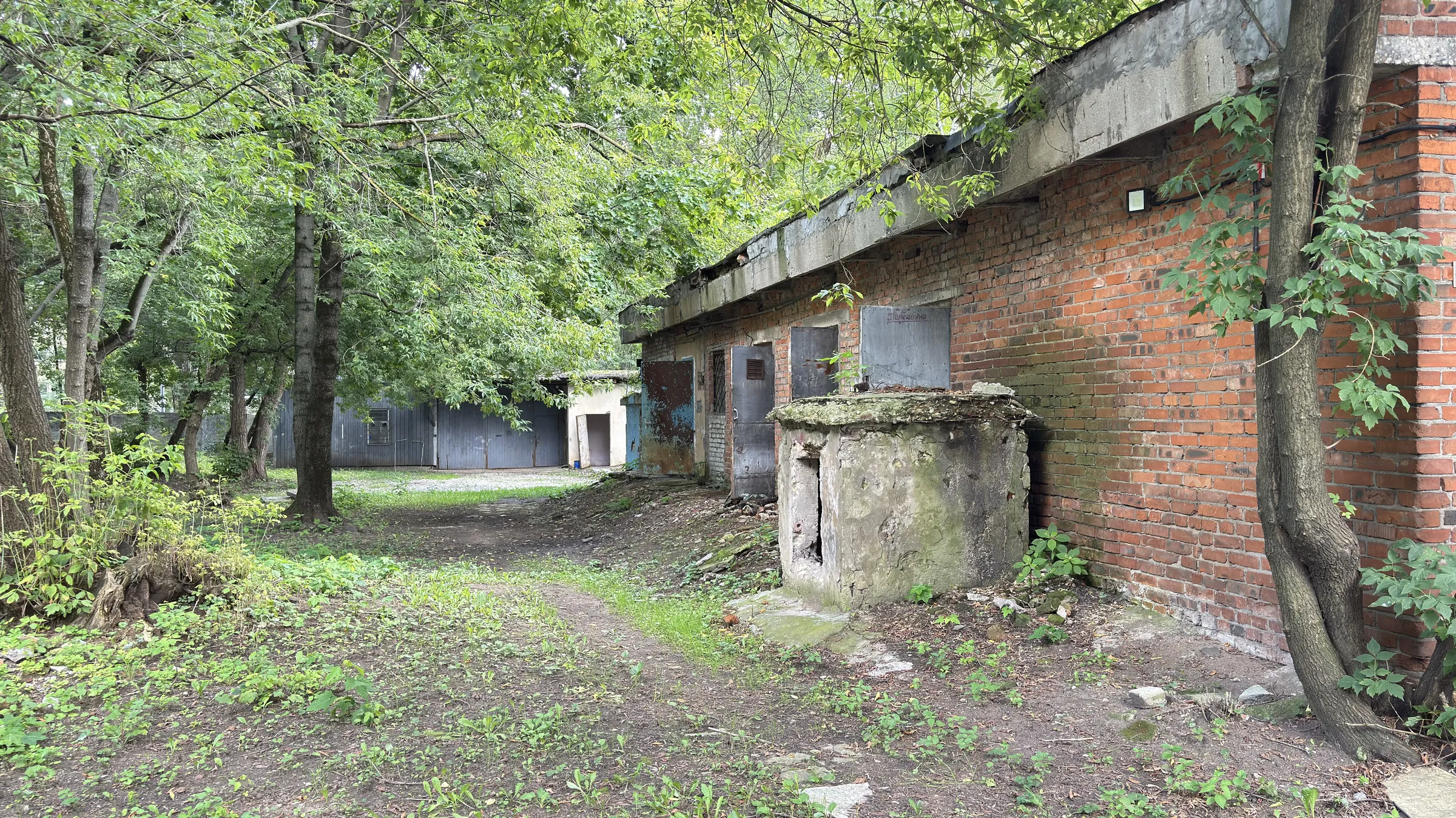 Старый двор с березами, фото 20