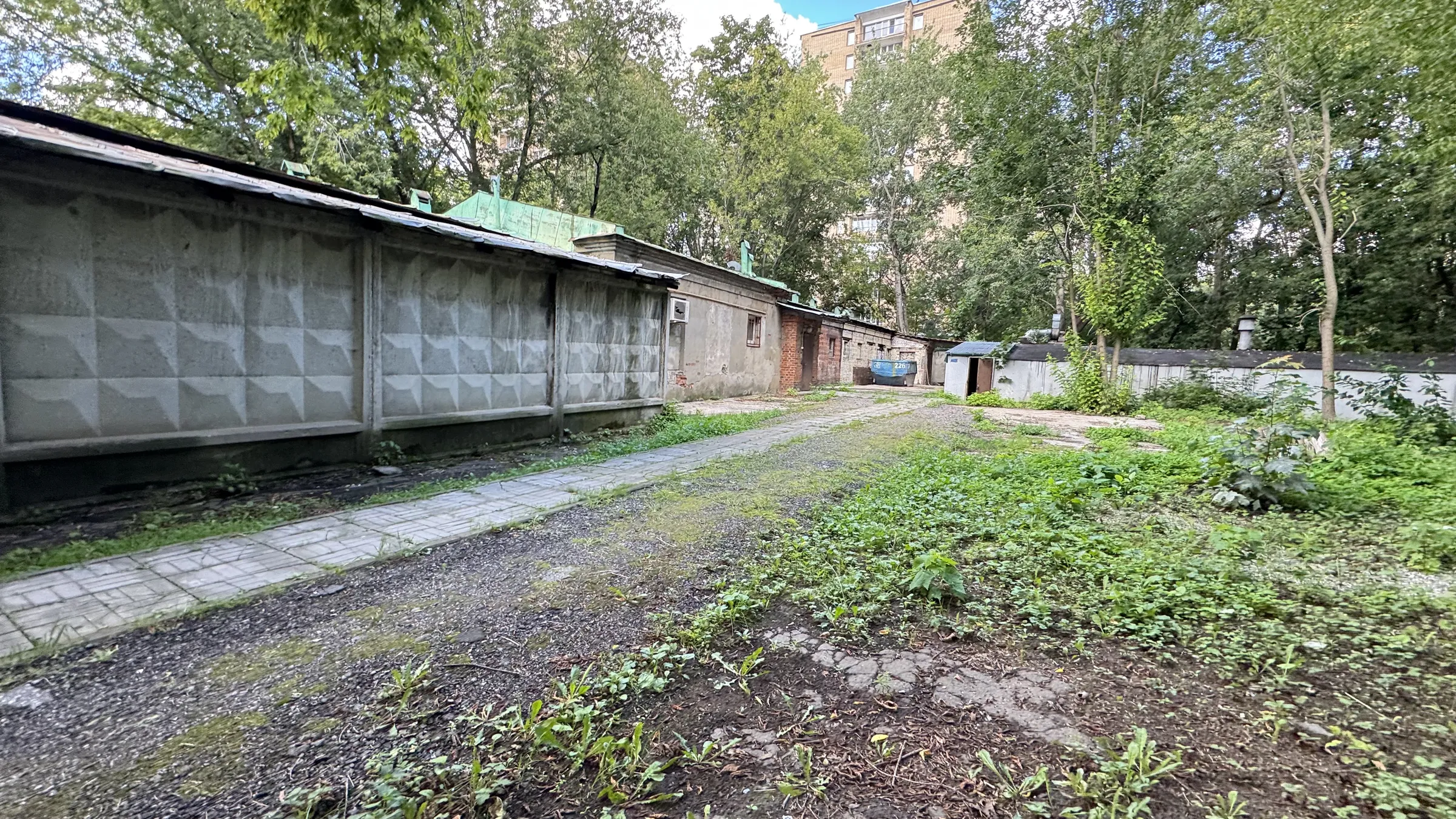 Старый двор с березами, фото 17