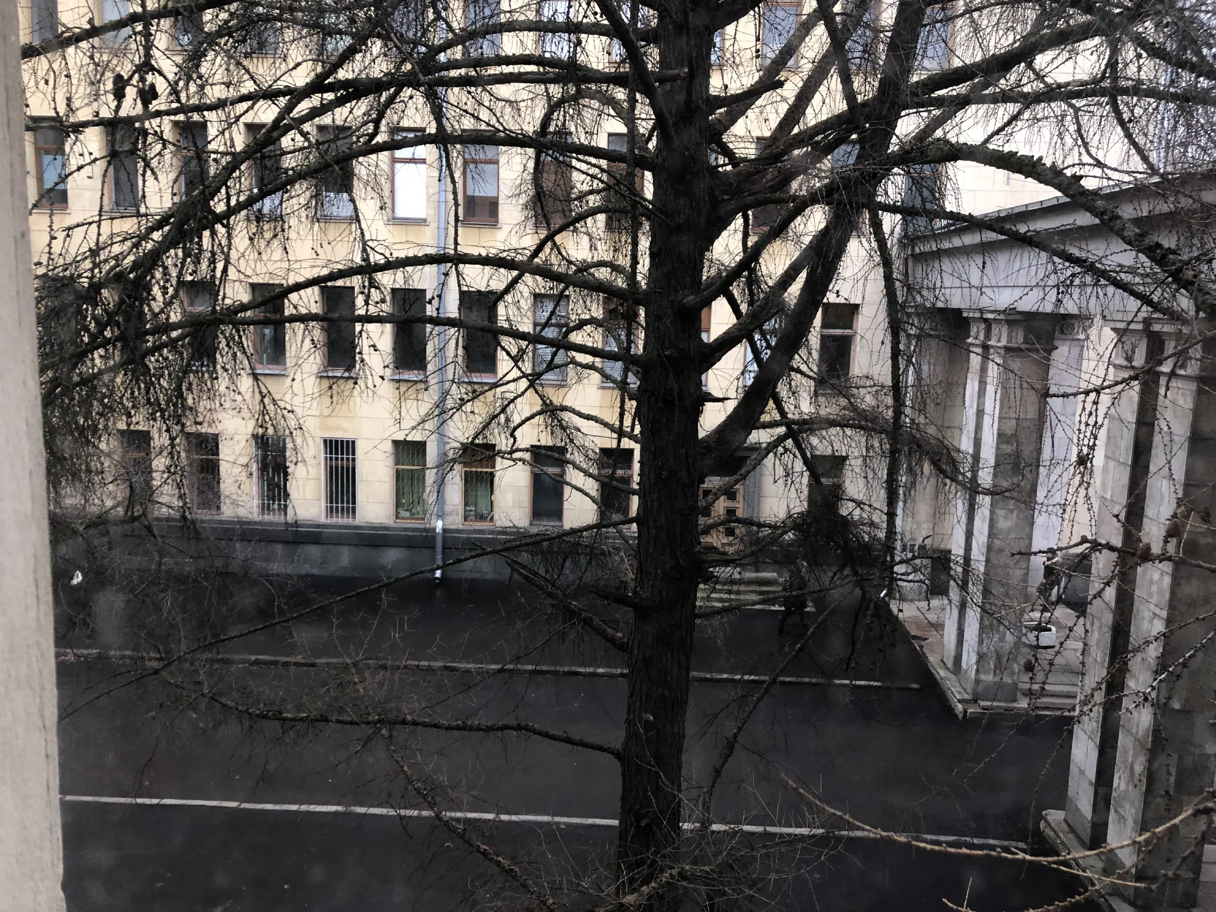Университет с мозаикой, фото 11