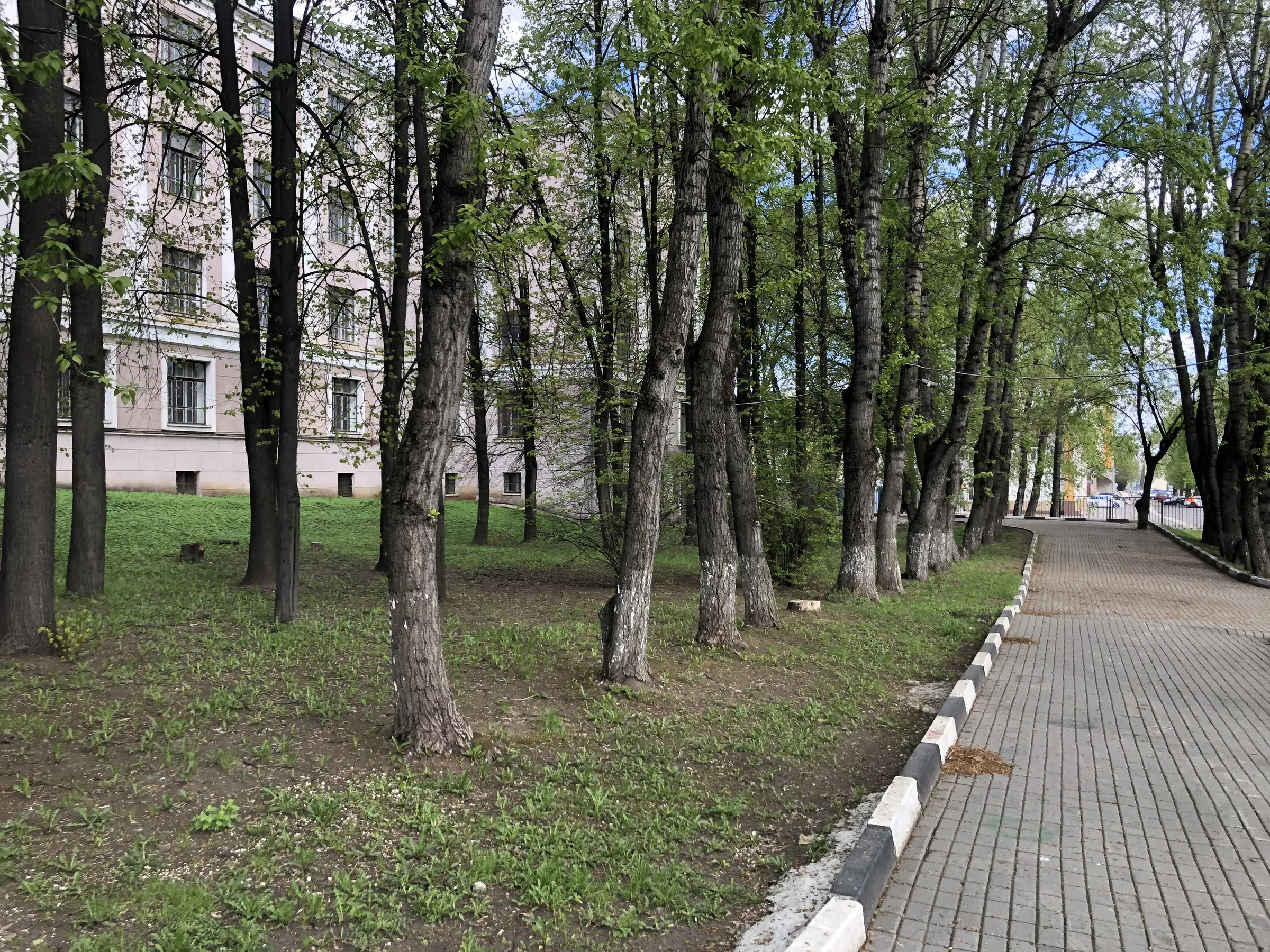 Университет с аллеей, фото 3