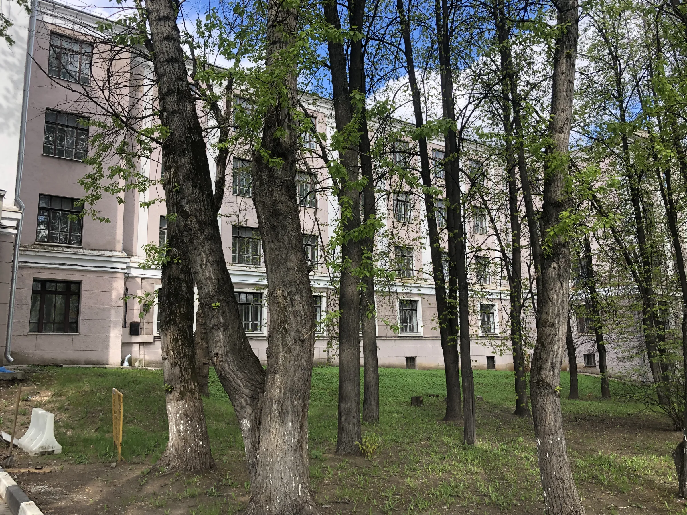 Университет с аллеей, фото 4