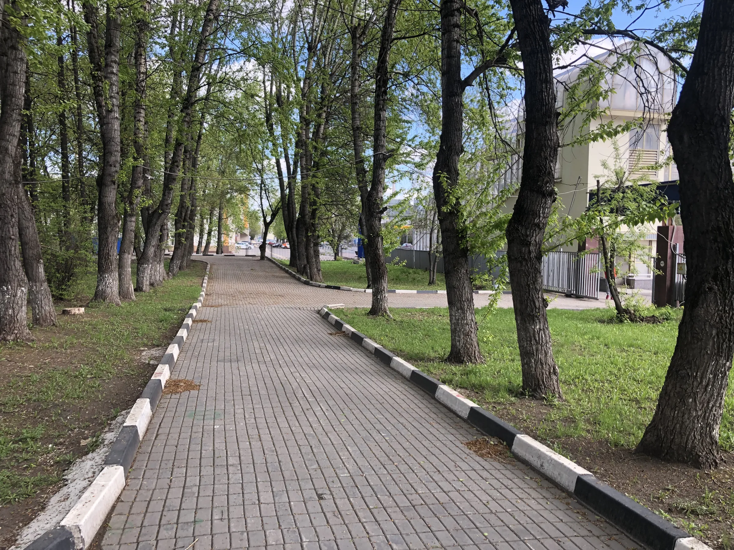Университет с аллеей, фото 2
