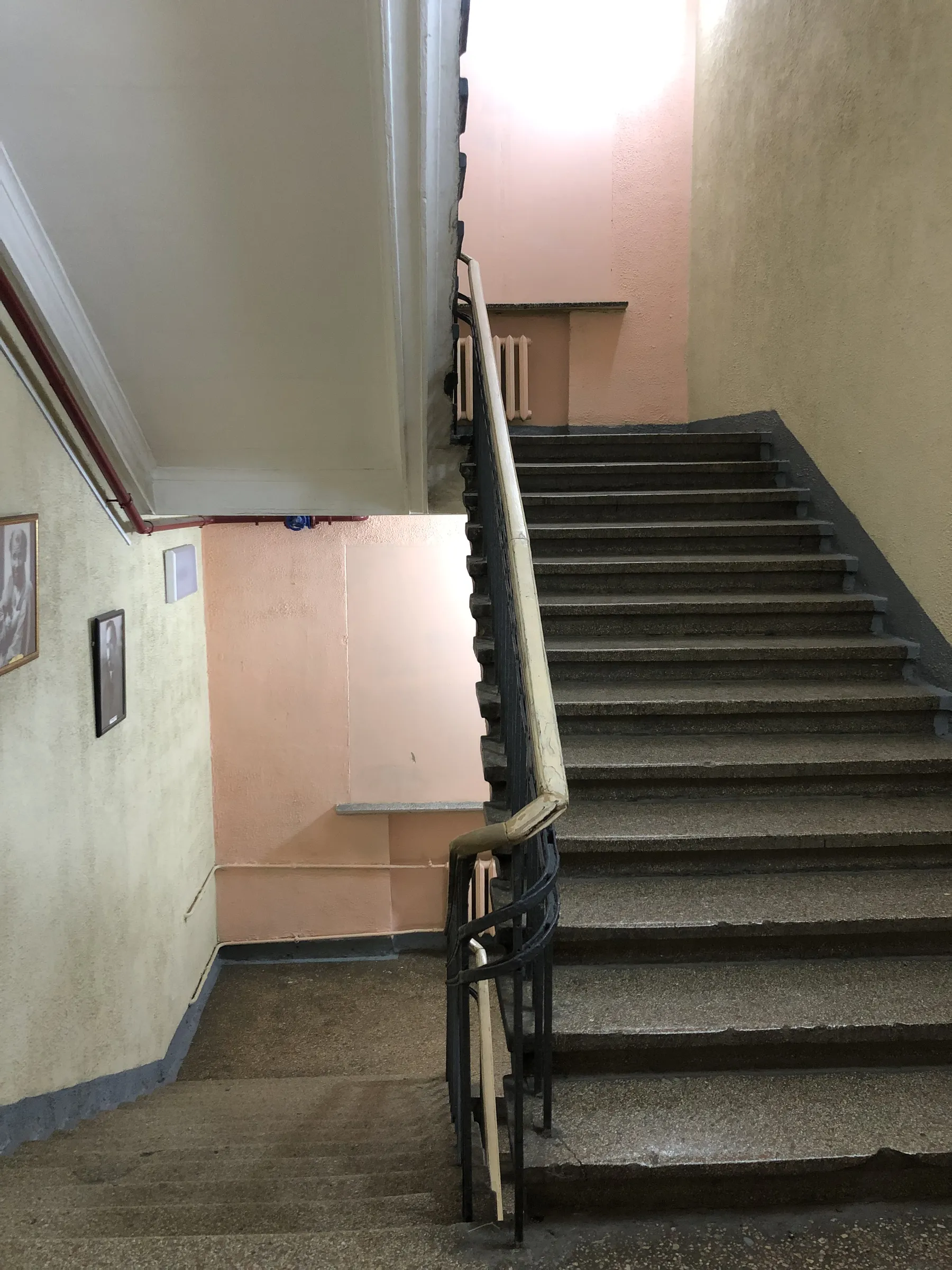 Университет с аллеей, фото 20