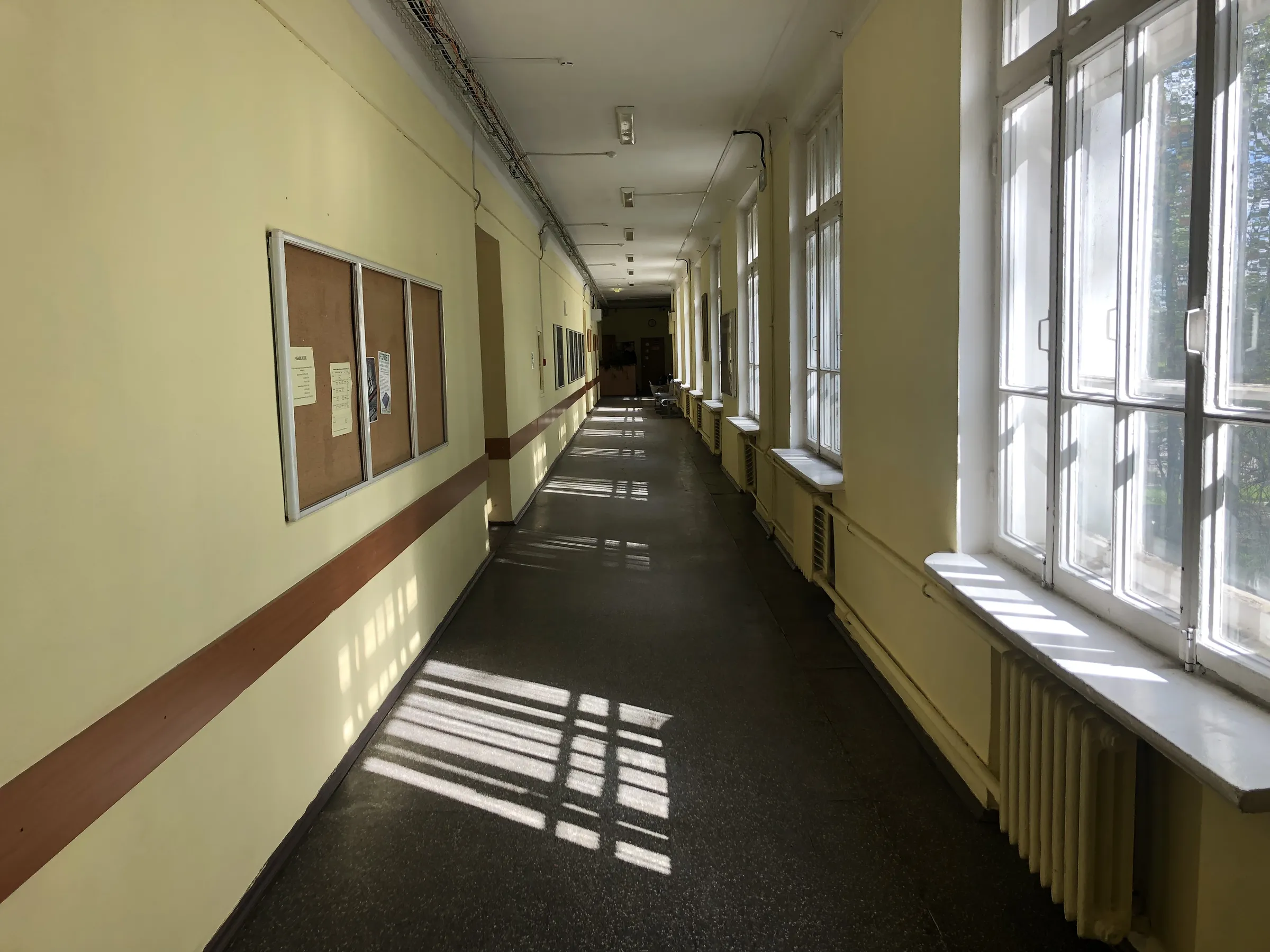 Университет с аллеей, фото 16