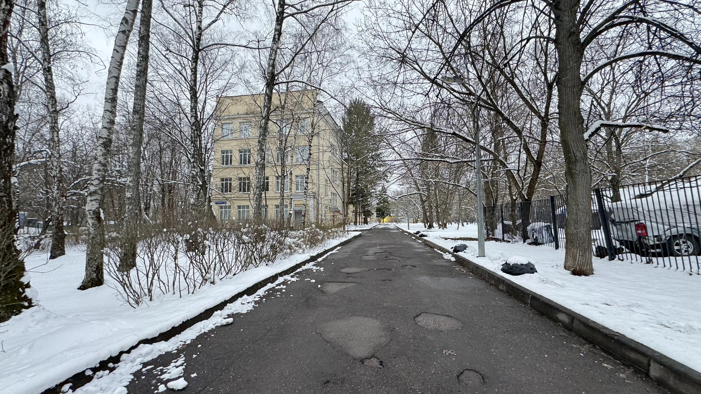 Желтый институт в парке, фото 1