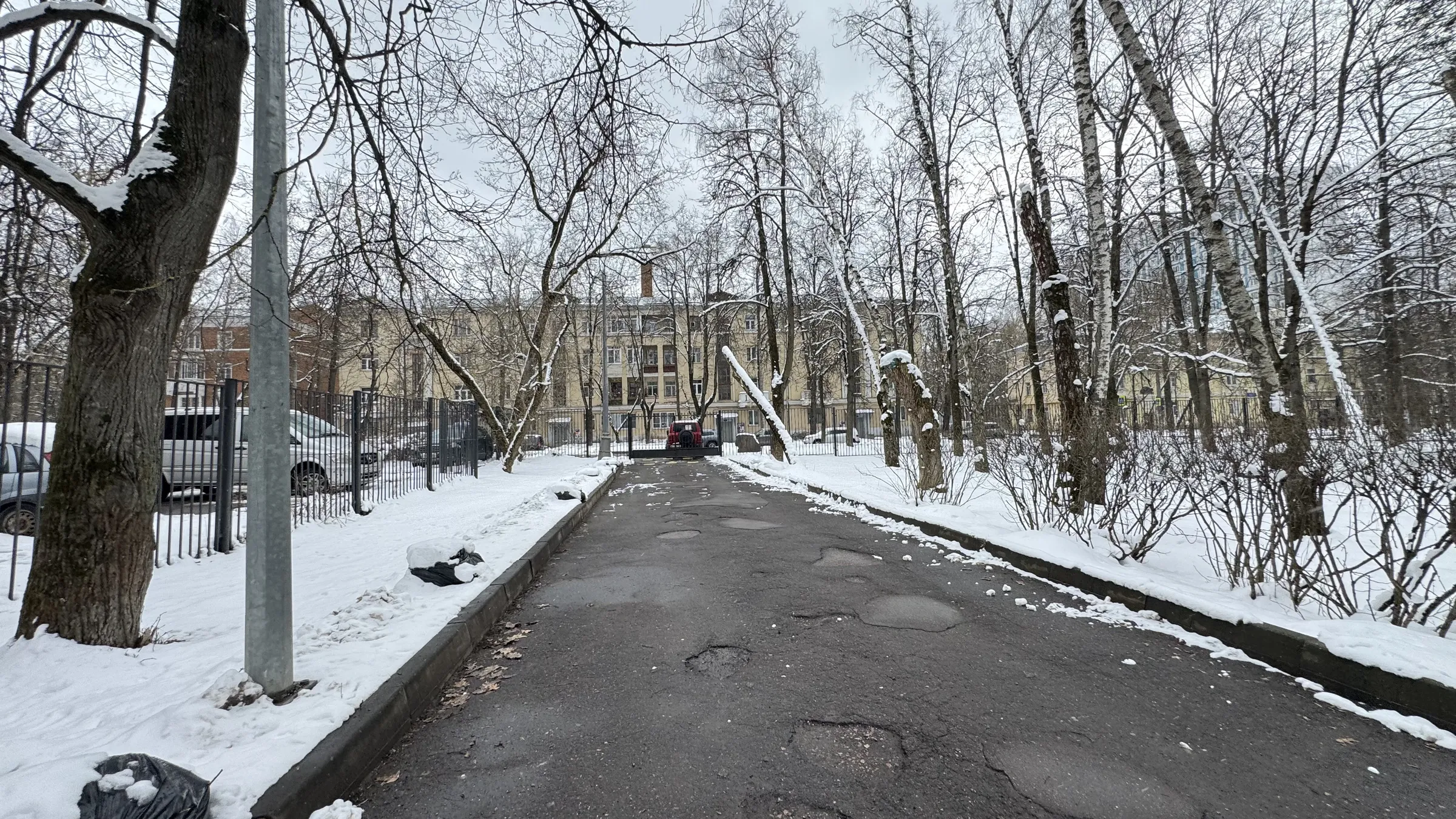 Желтый институт в парке, фото 2