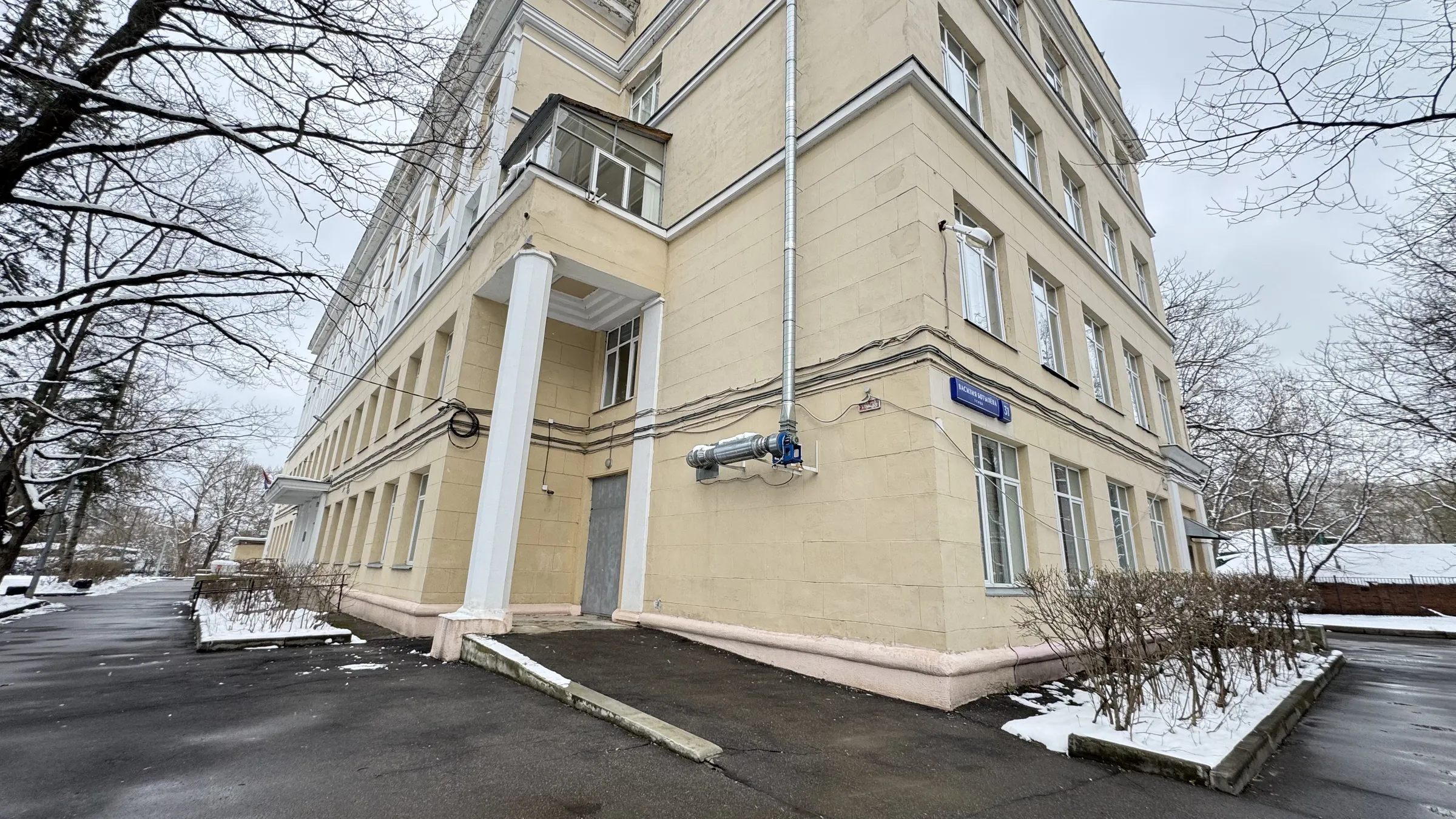 Желтый институт в парке, фото 3