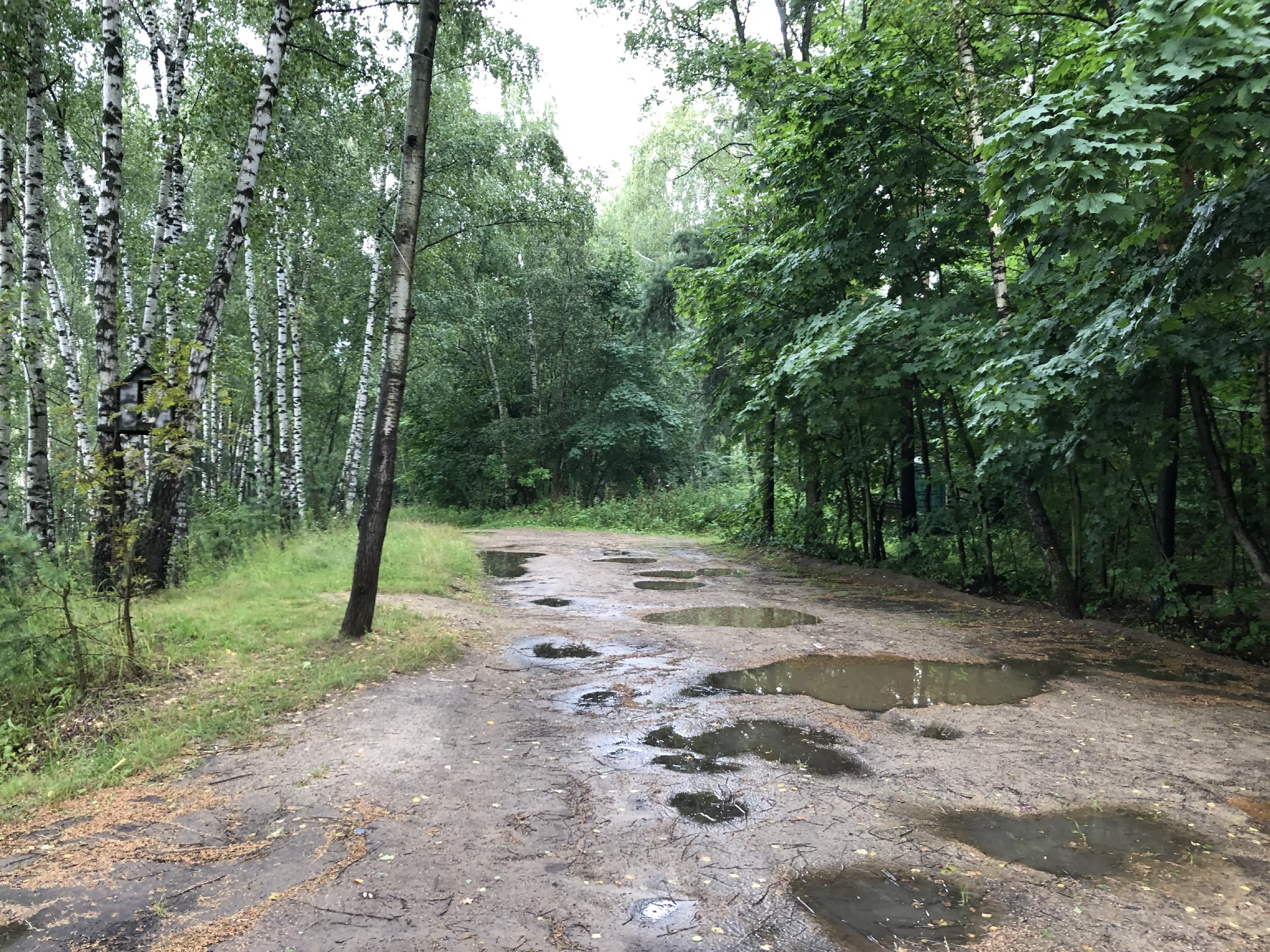 Дача в лесном луче, фото 20