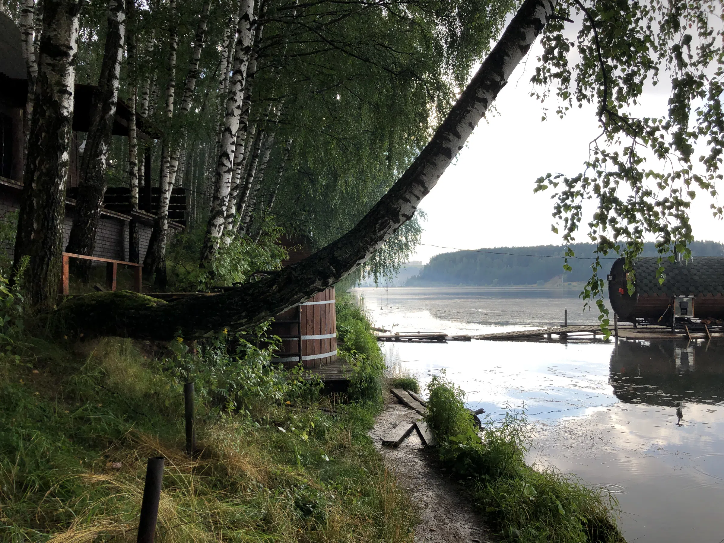 Дача в лесном луче, фото 16