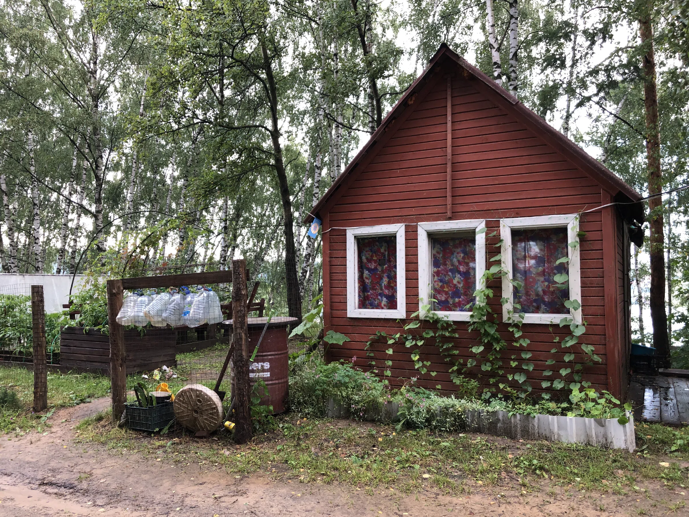 Дача в лесном луче, фото 24
