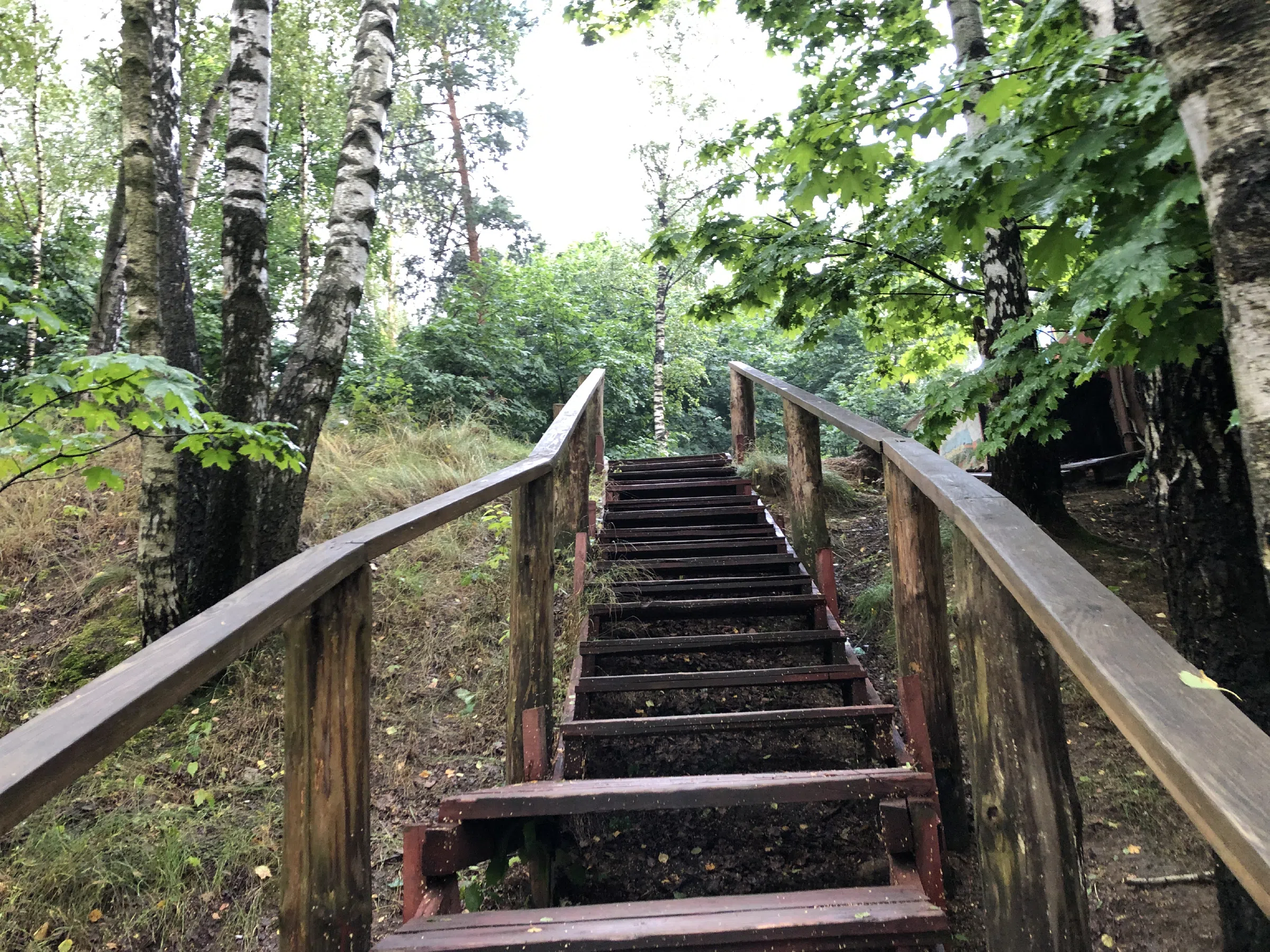 Дача в лесном луче, фото 19