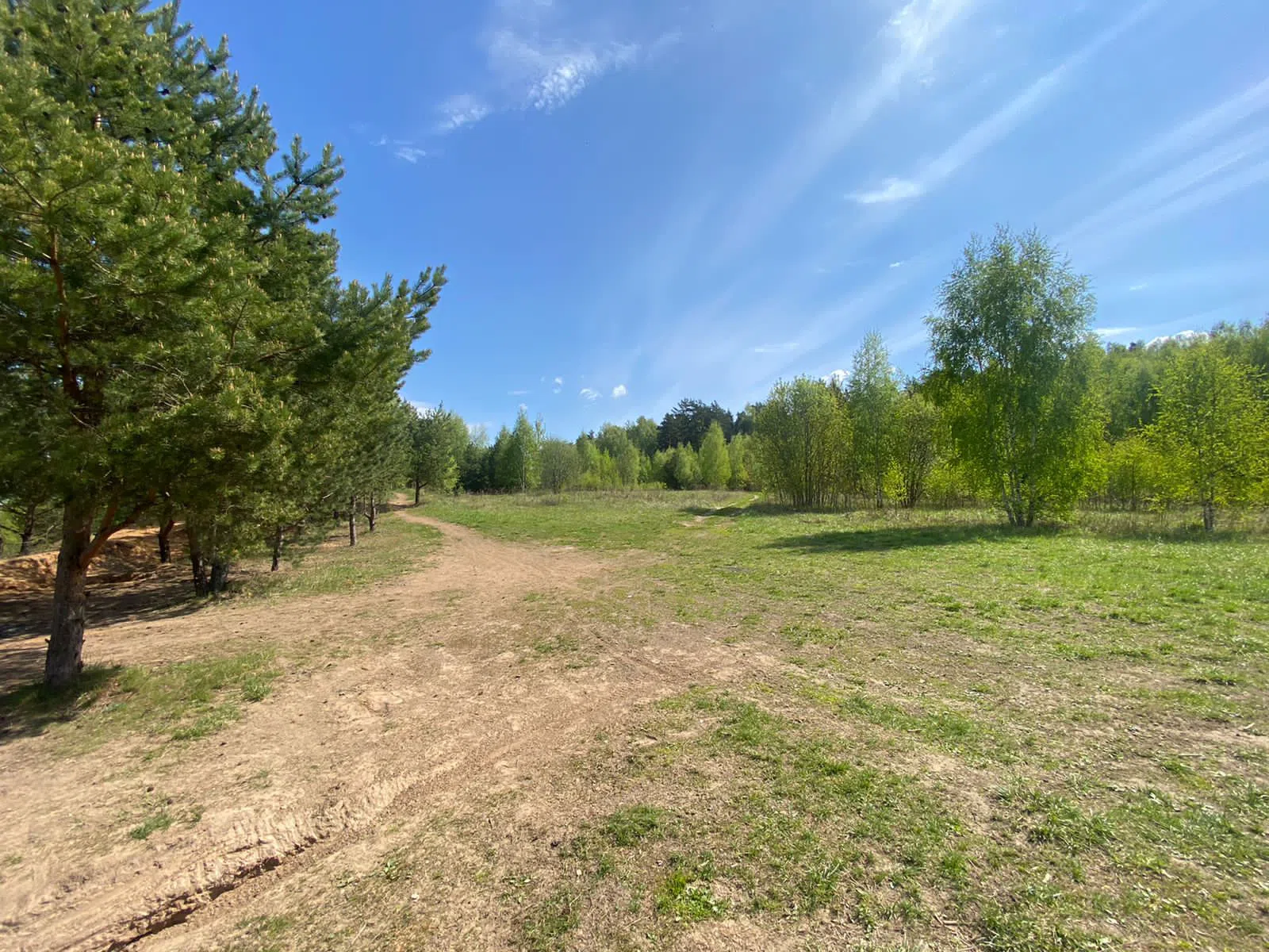 Карьер в зеленом лесу, фото 9