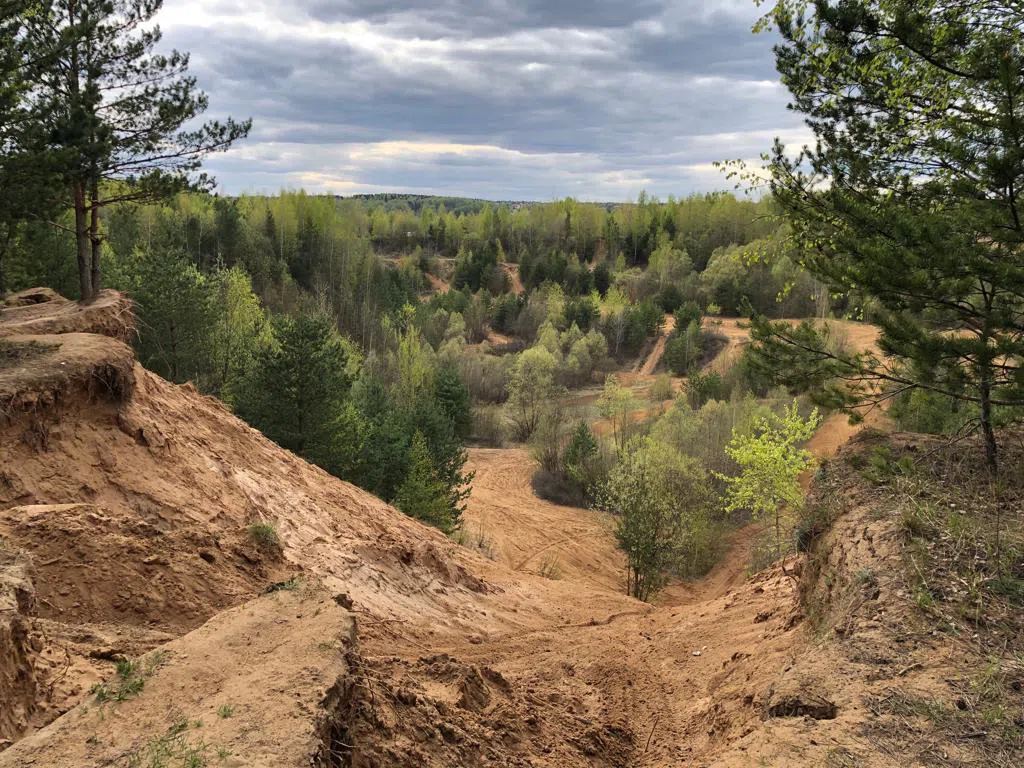 Карьер в зеленом лесу, фото 3