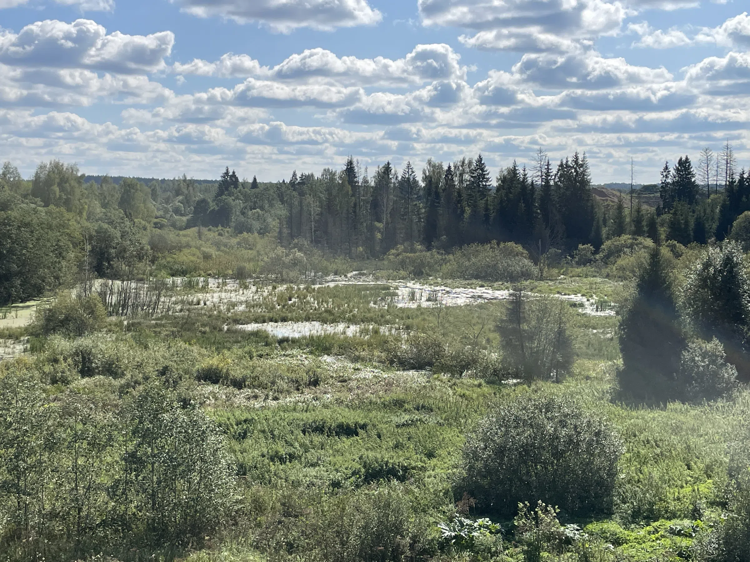 Песчаный карьер с водоёмами, фото 8