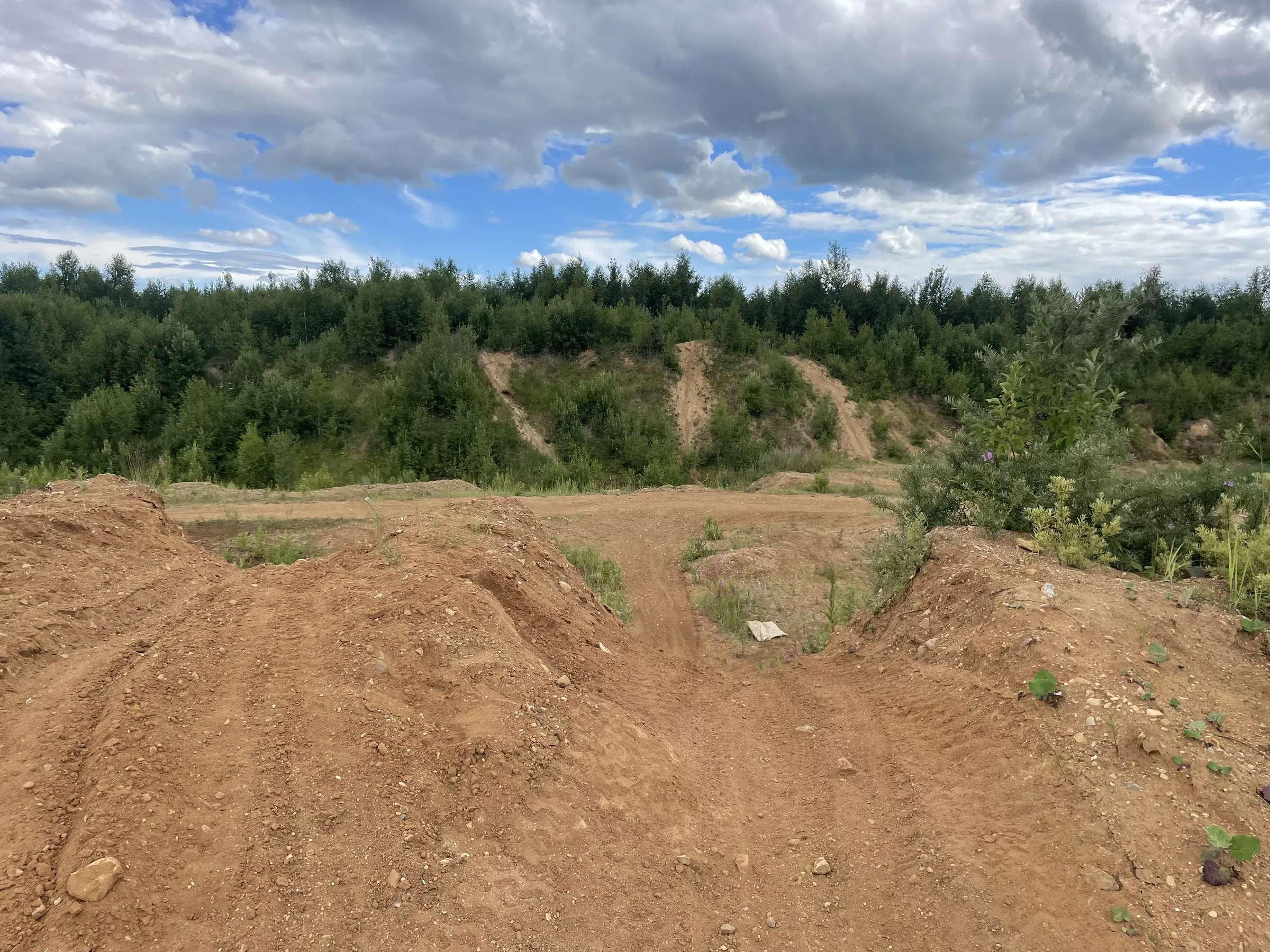 Лес у карьера, фото 12