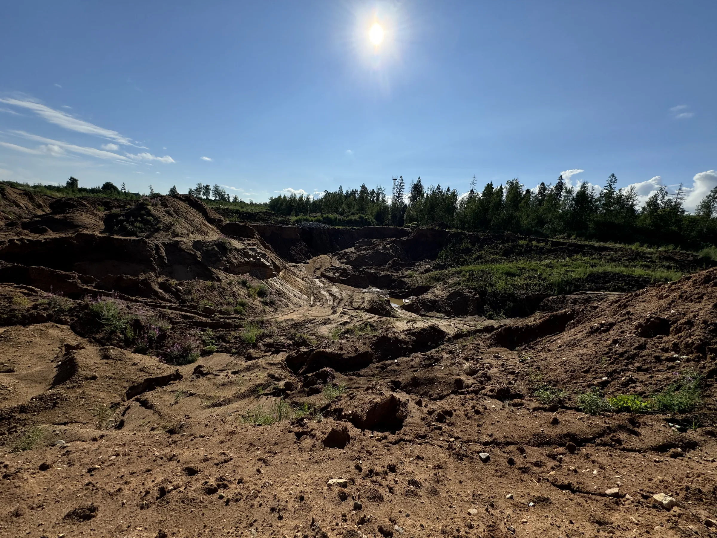 Карьер в сосновом лесу, фото 6