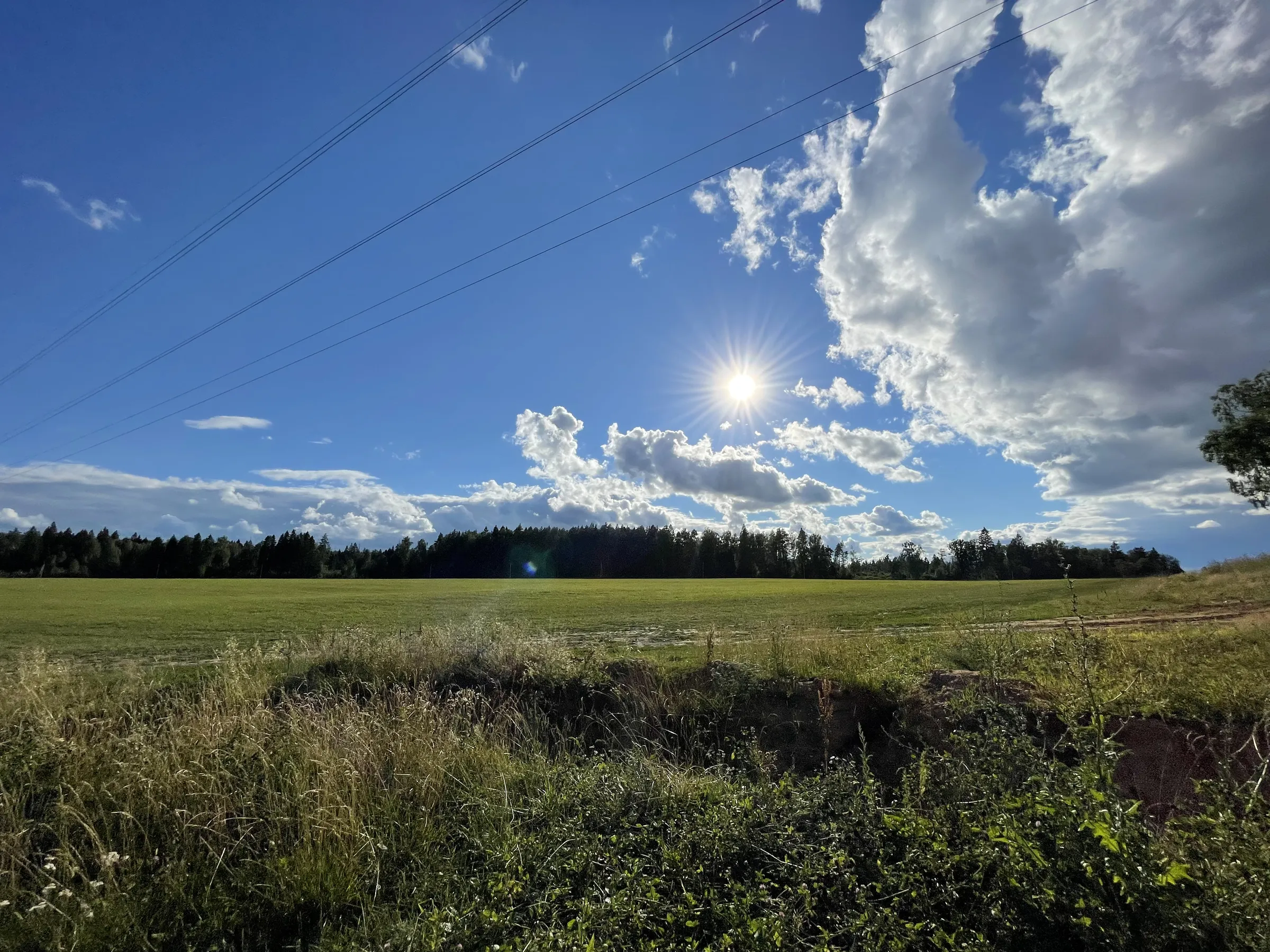 Полевая дорога с видом, фото 16