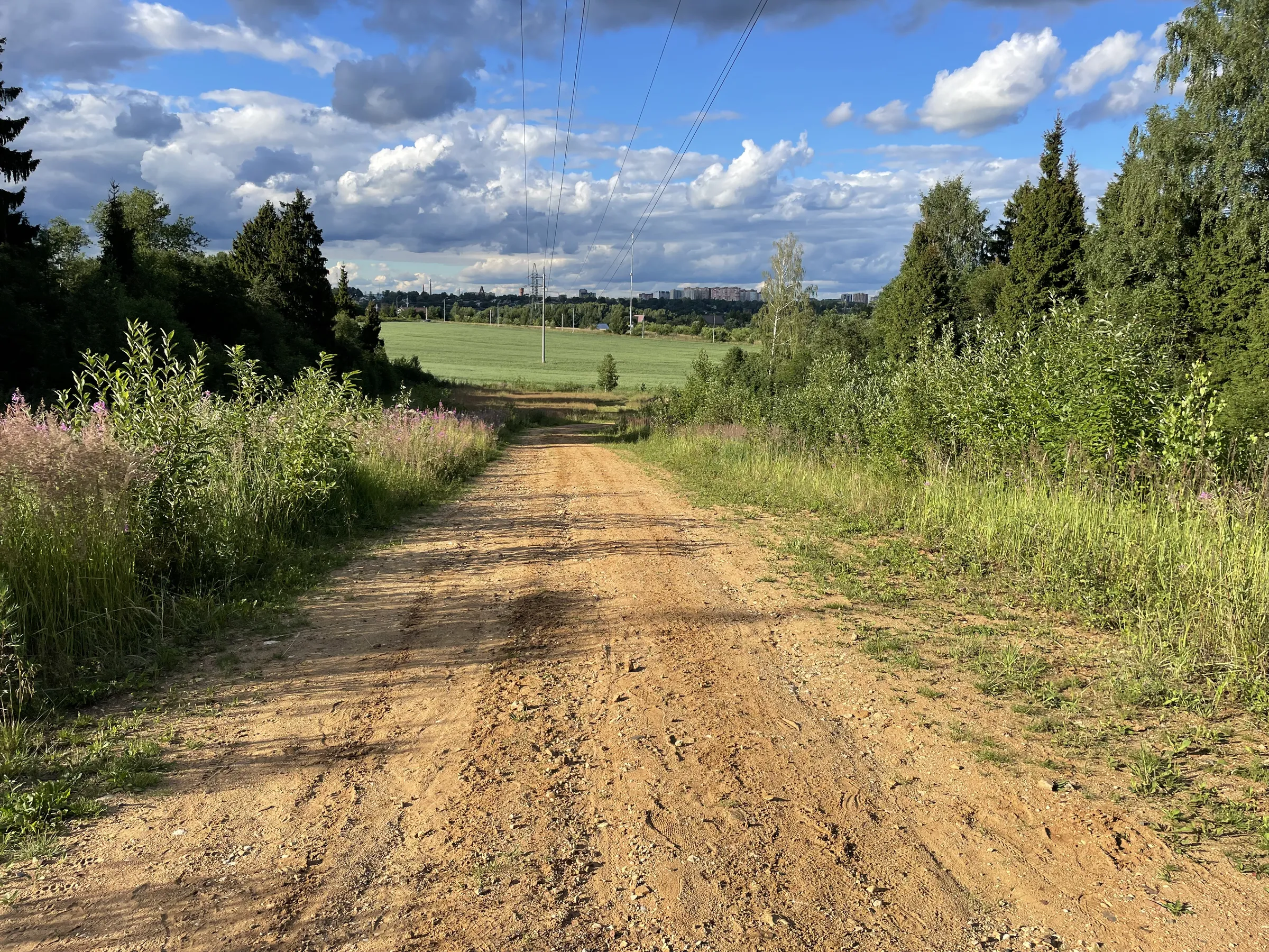 Полевая дорога с видом, фото 5
