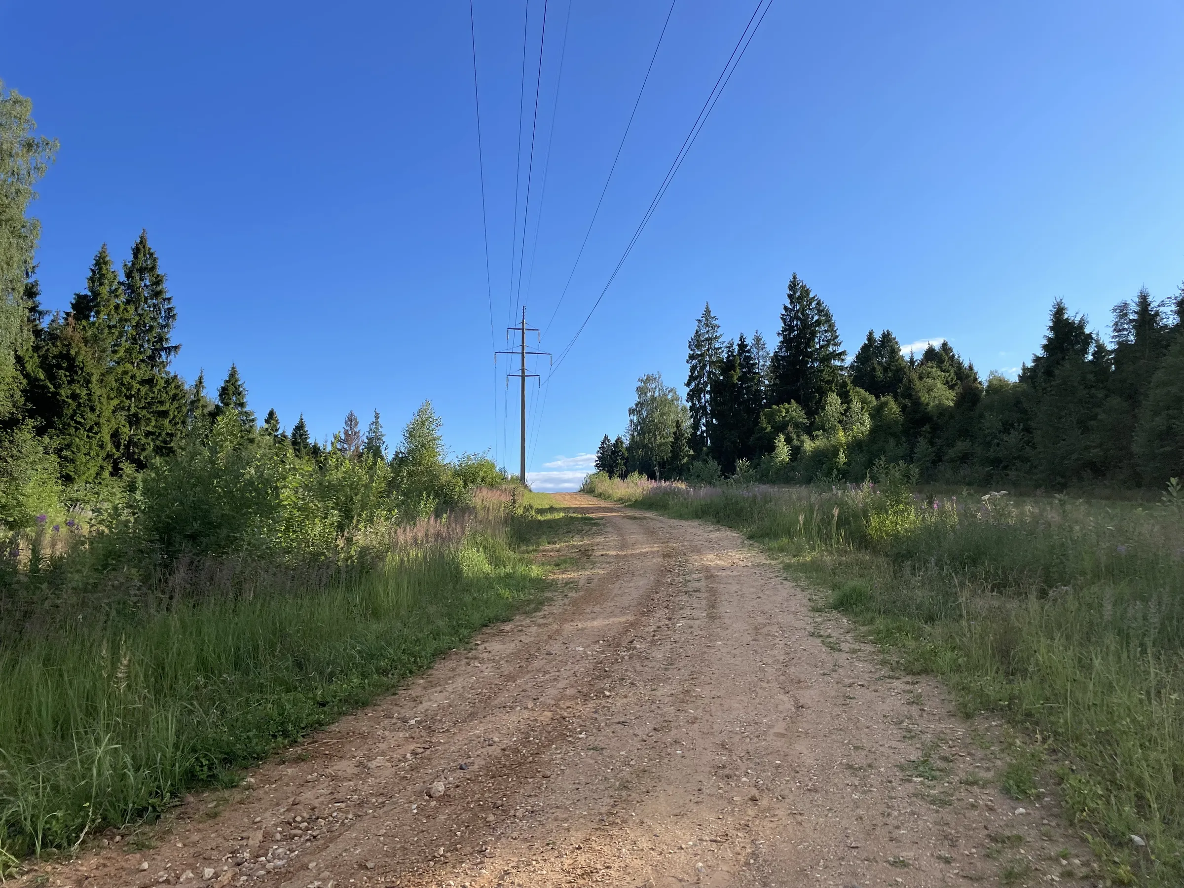 Полевая дорога с видом, фото 3