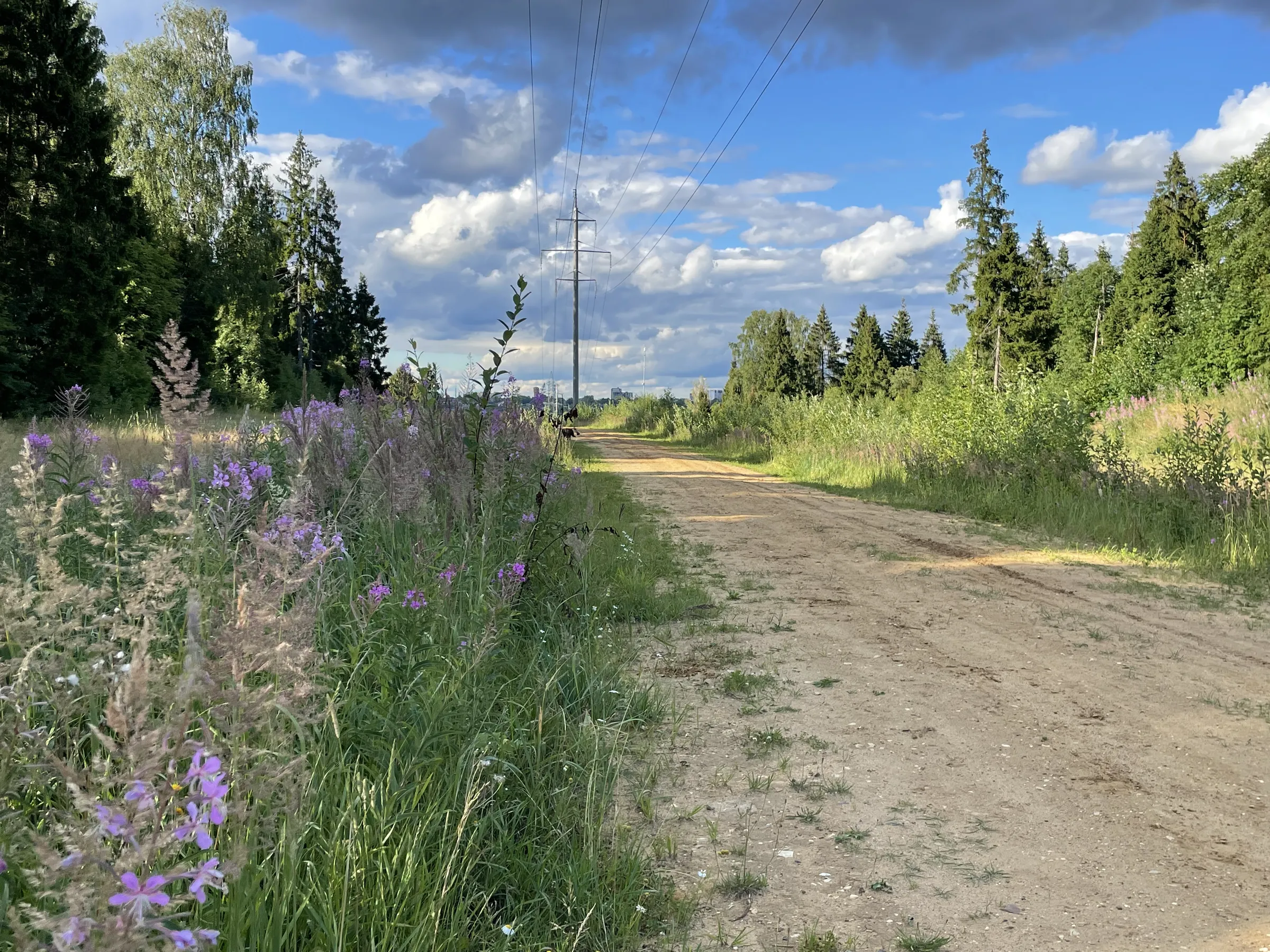 Полевая дорога с видом, фото 9