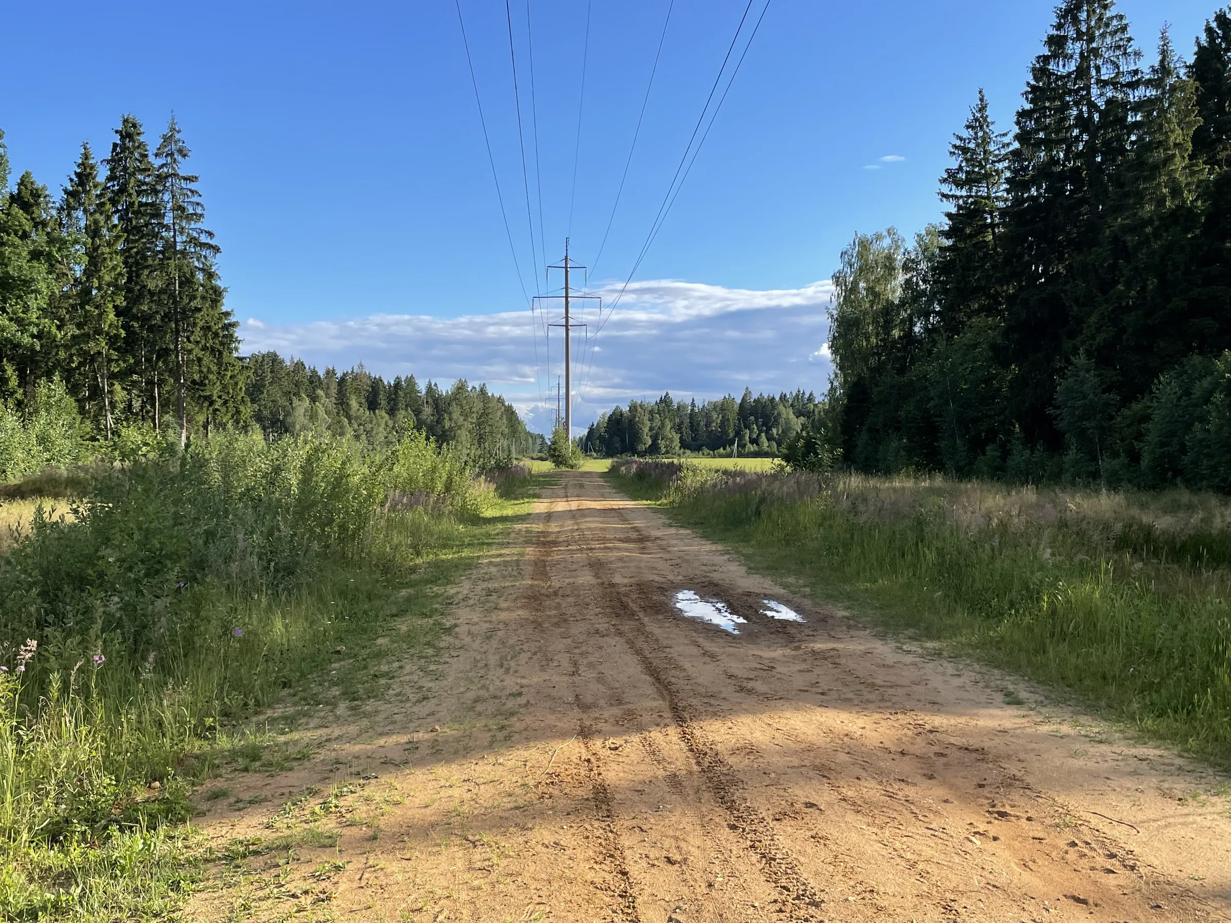Полевая дорога с видом, фото 8