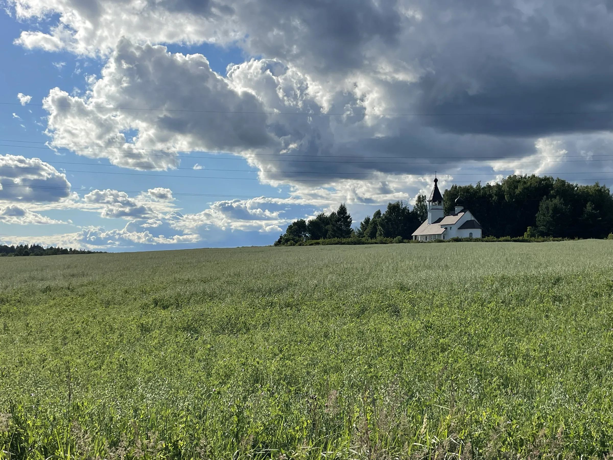 Полевая дорога с видом, фото 1