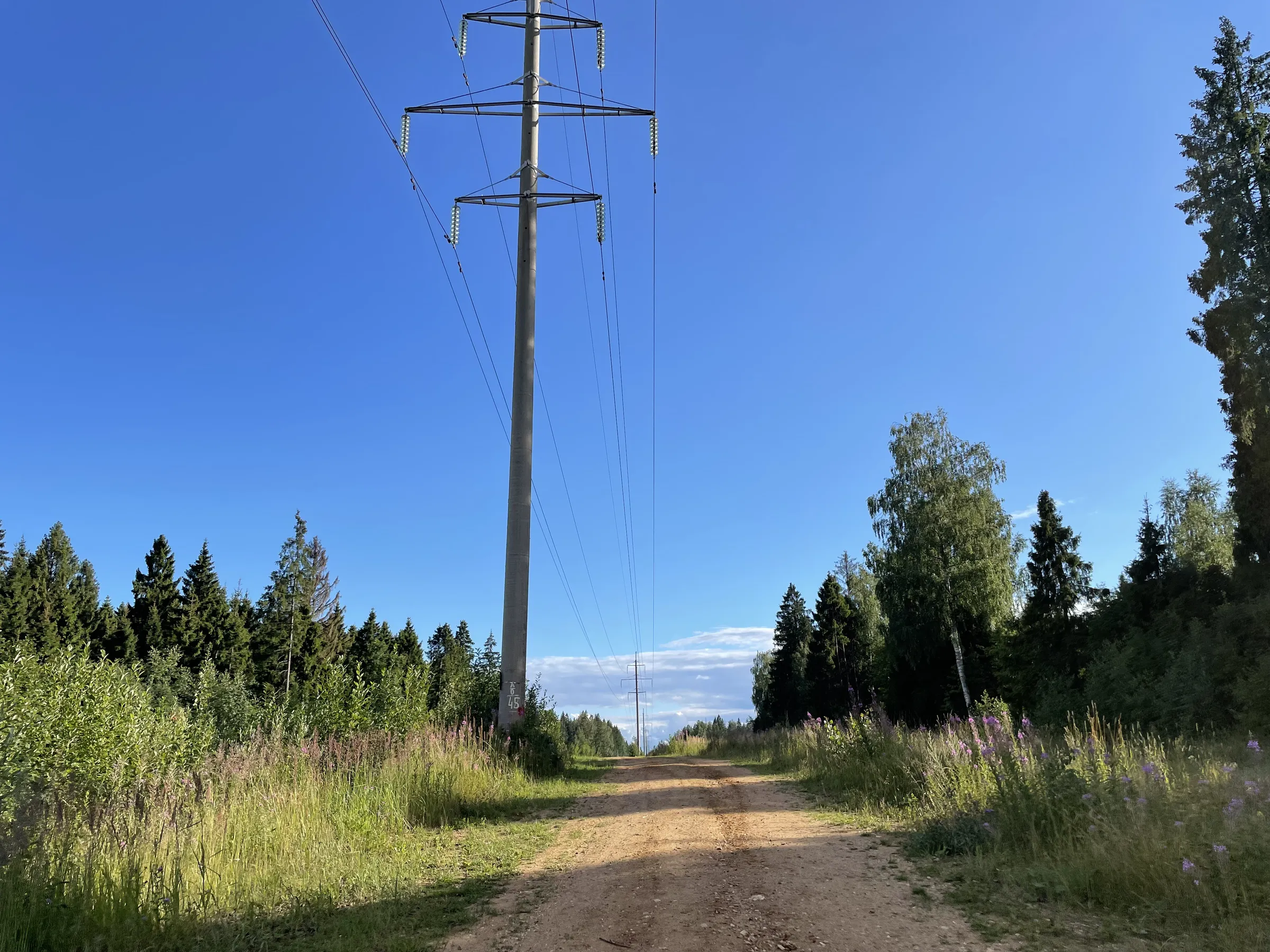 Полевая дорога с видом, фото 4
