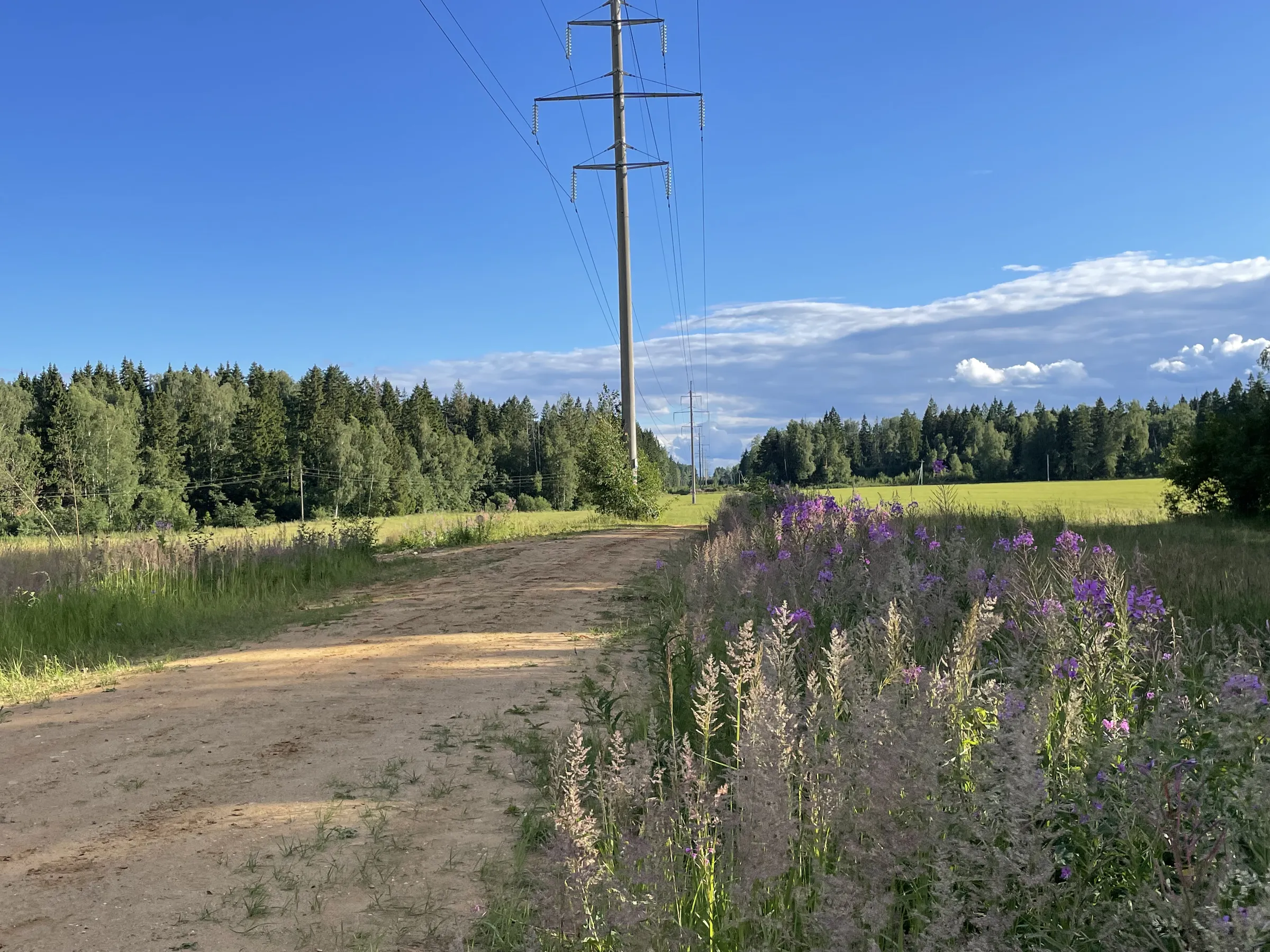 Полевая дорога с видом, фото 10