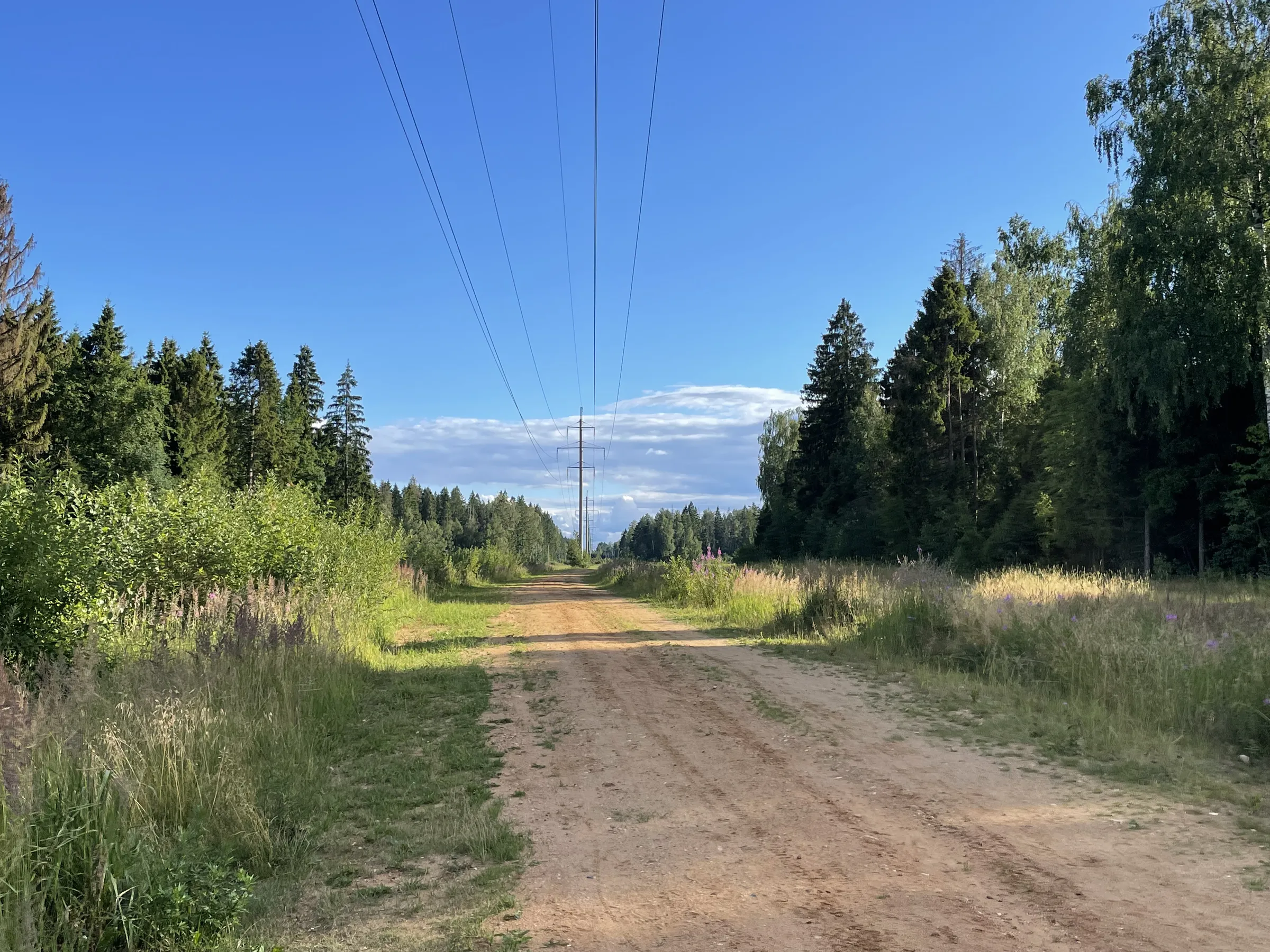 Полевая дорога с видом, фото 6