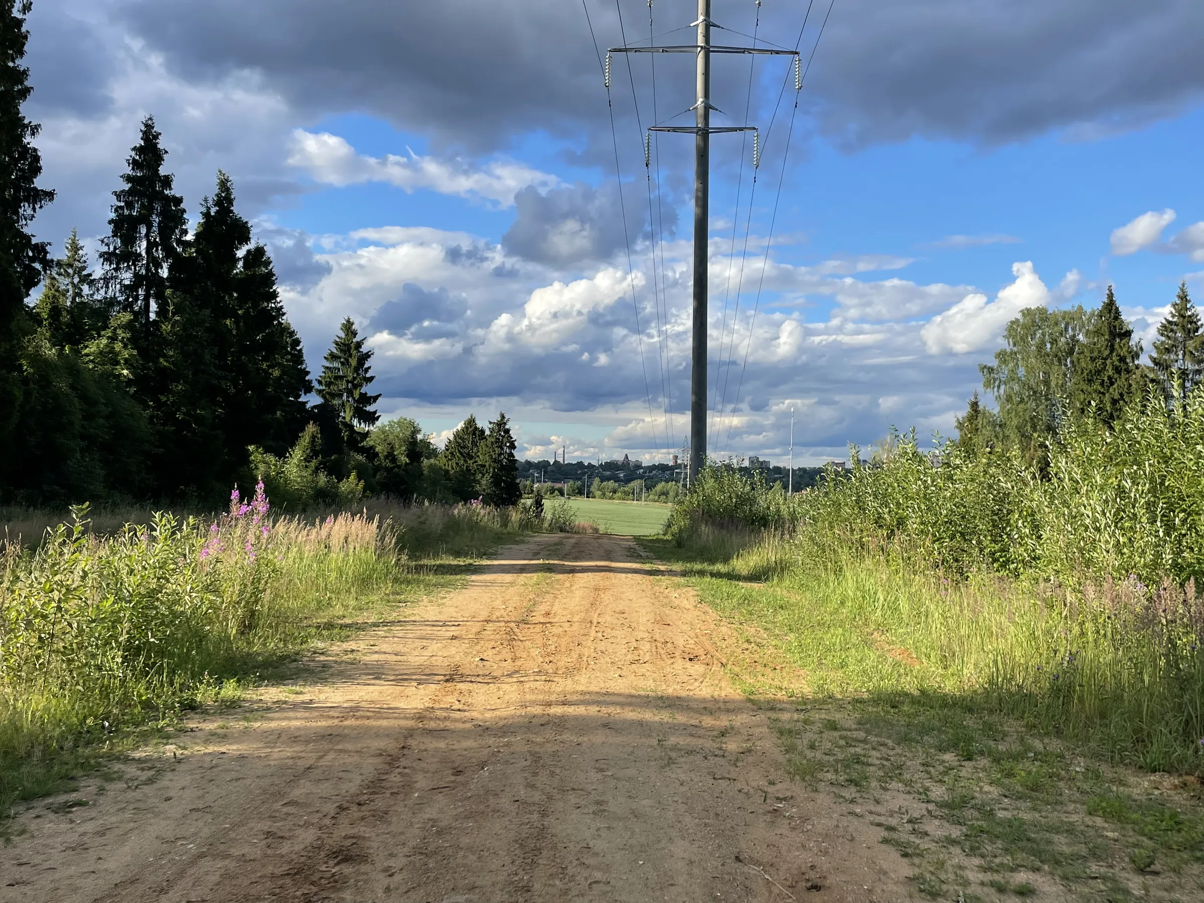 Полевая дорога с видом, фото 7