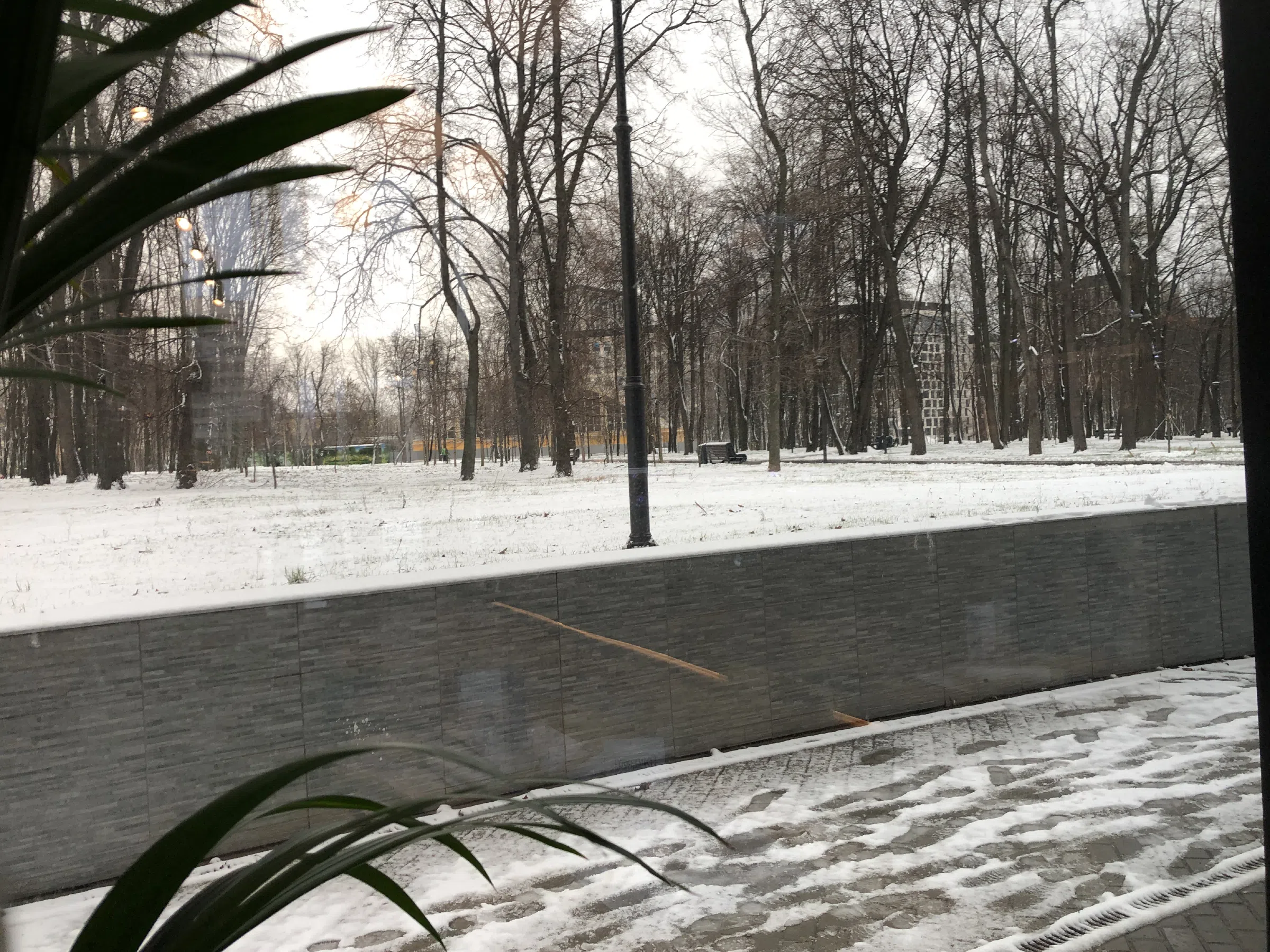 Кафе у парка, фото 14