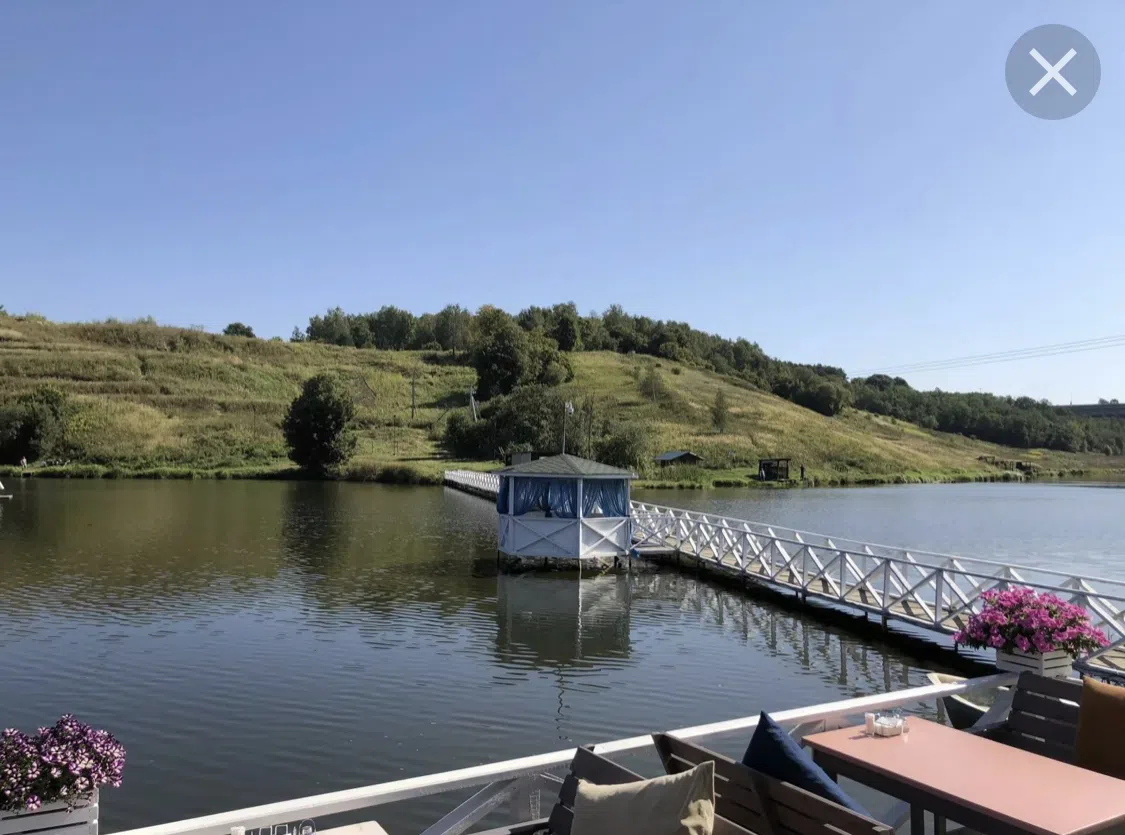 Ресторан на озере с лебедями, фото 4