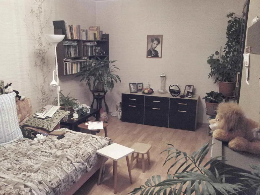 Хрущёвка с аркой, фото 4