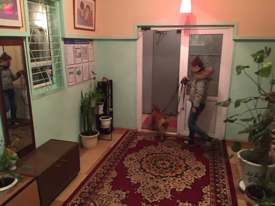 Квартира с арочными дверями, фото 15