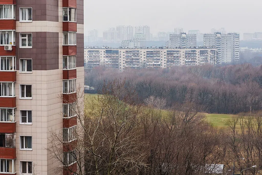 Классическая сталинка с бархатом, фото 18