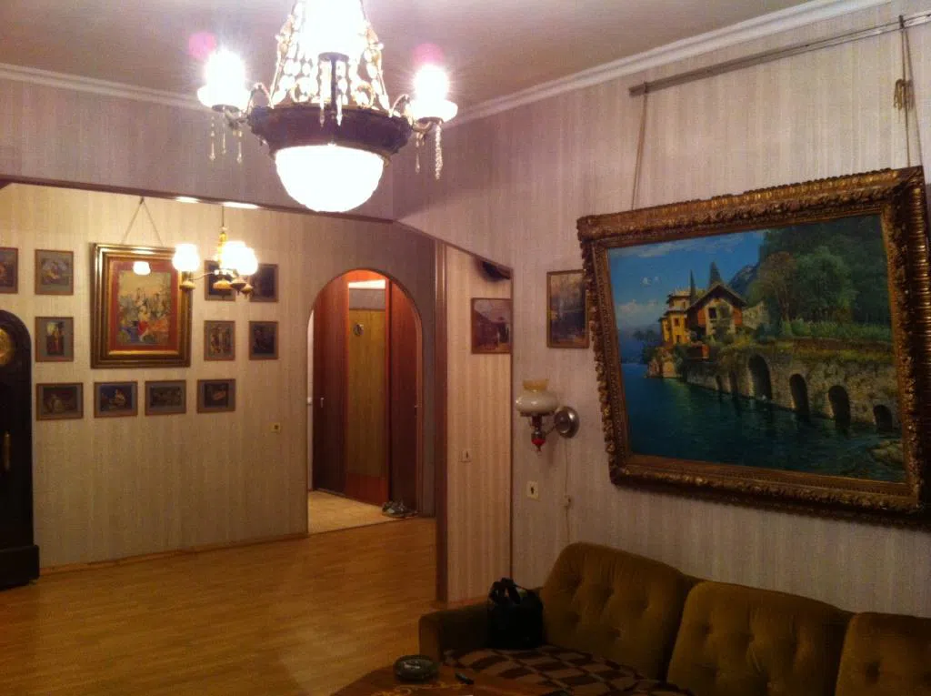 Квартира с корнепластикой в прихожей, фото 16