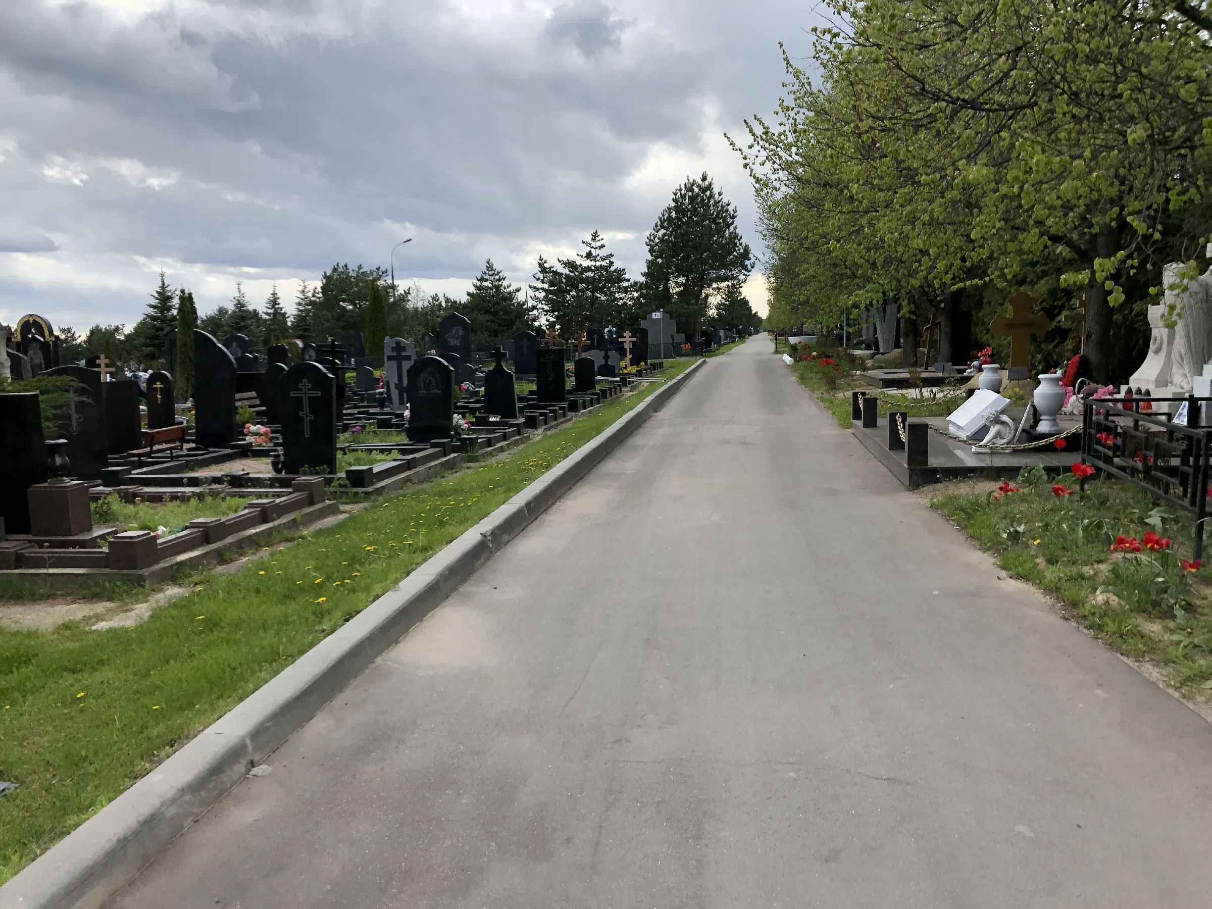Мемориал в лесу, фото 12