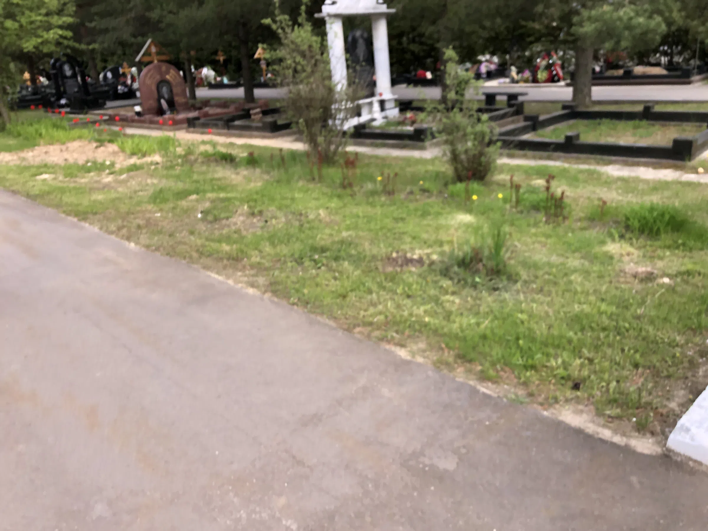 Мемориал в лесу, фото 6