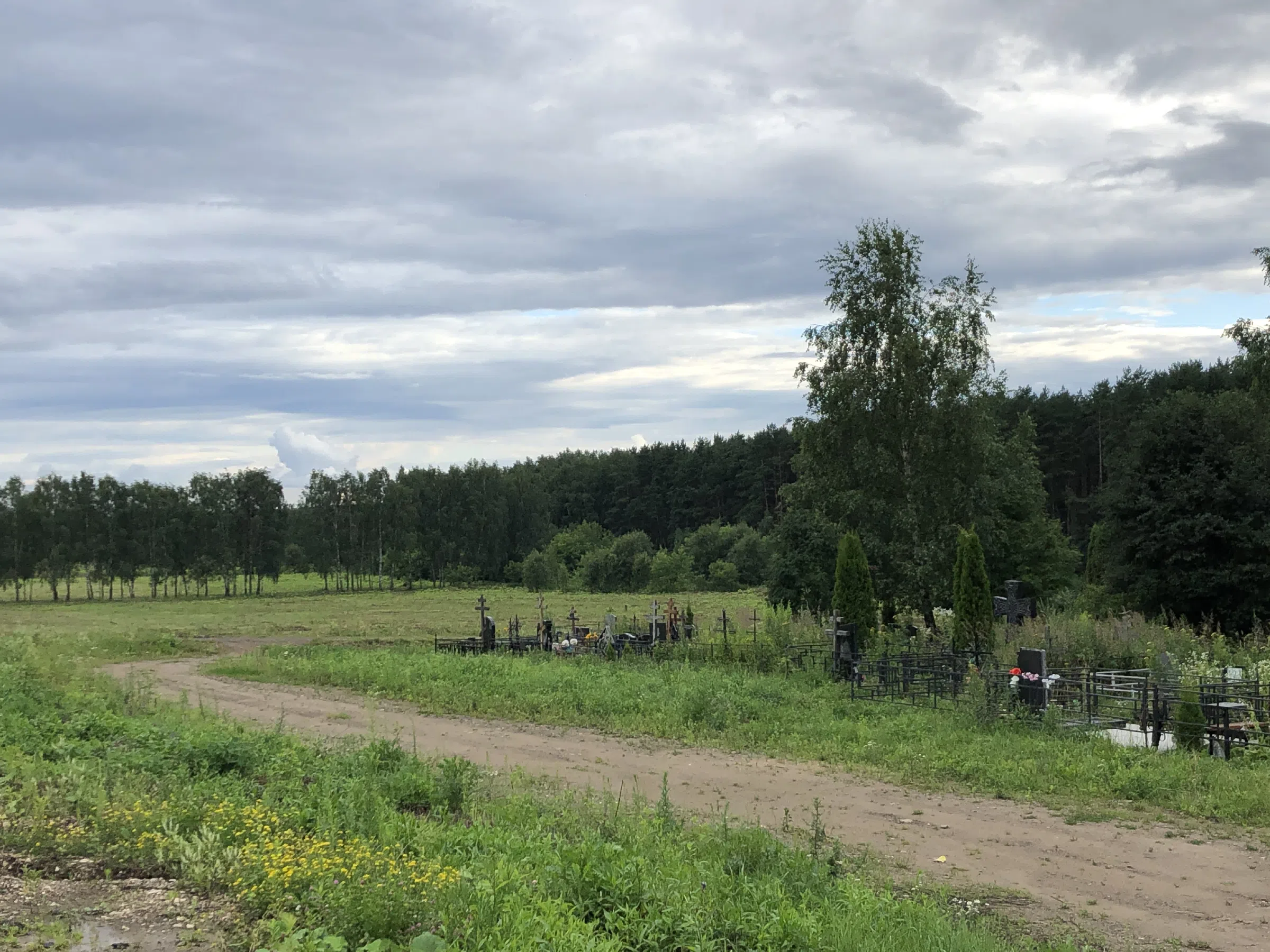 Кладбище в лесу за городом, фото 14