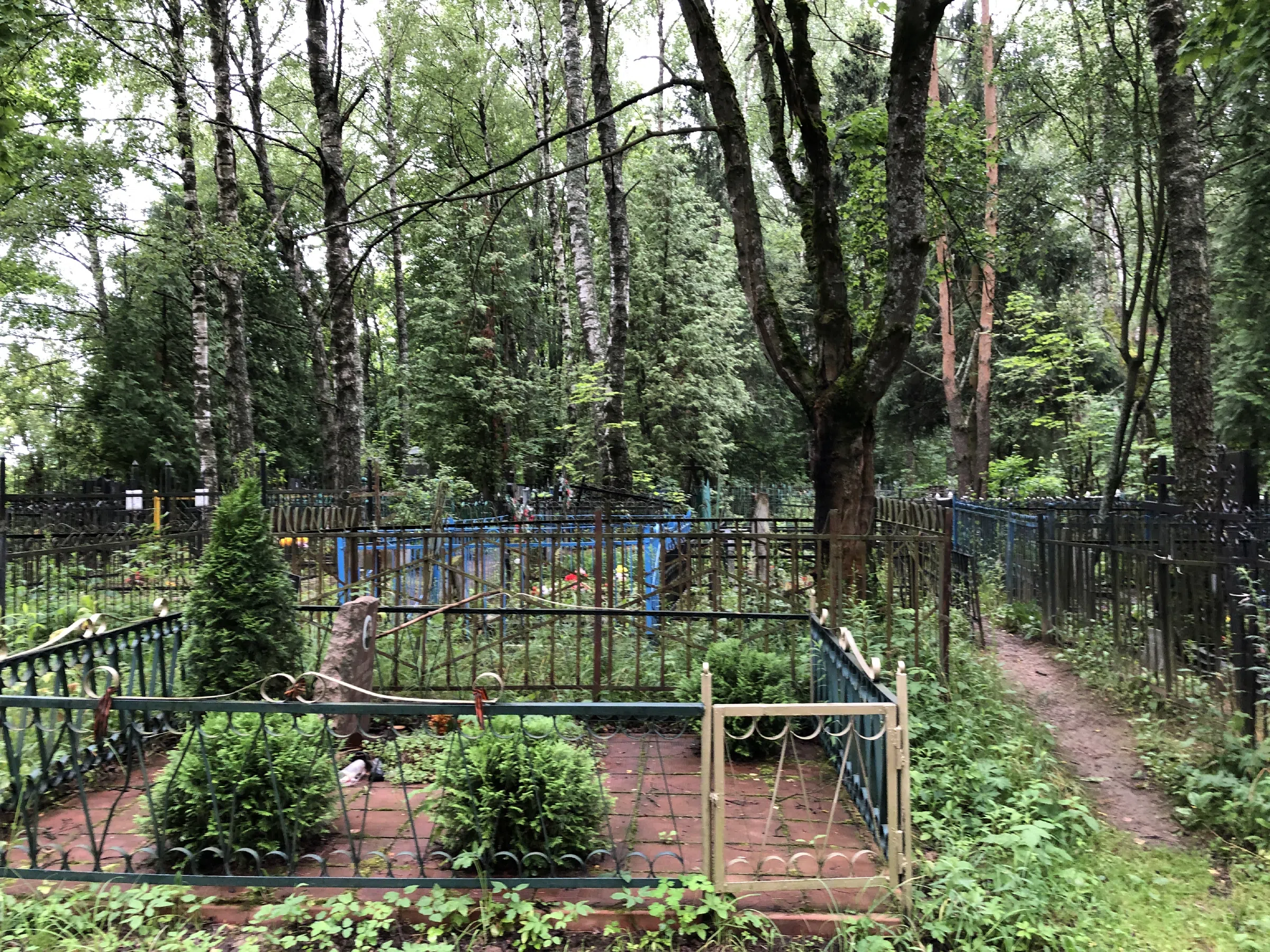 Кладбище в лесу за городом, фото 4