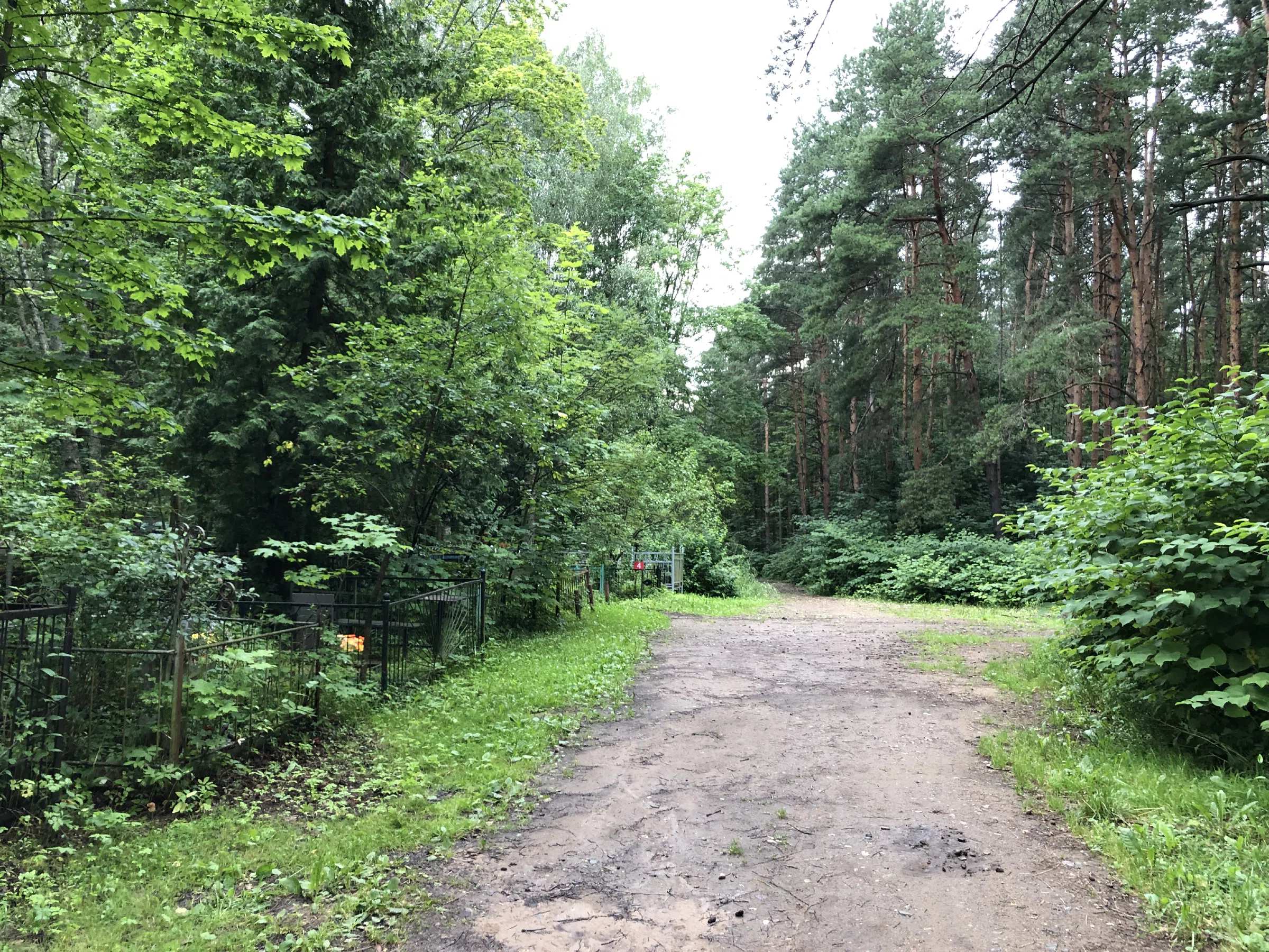 Кладбище в лесу за городом, фото 3