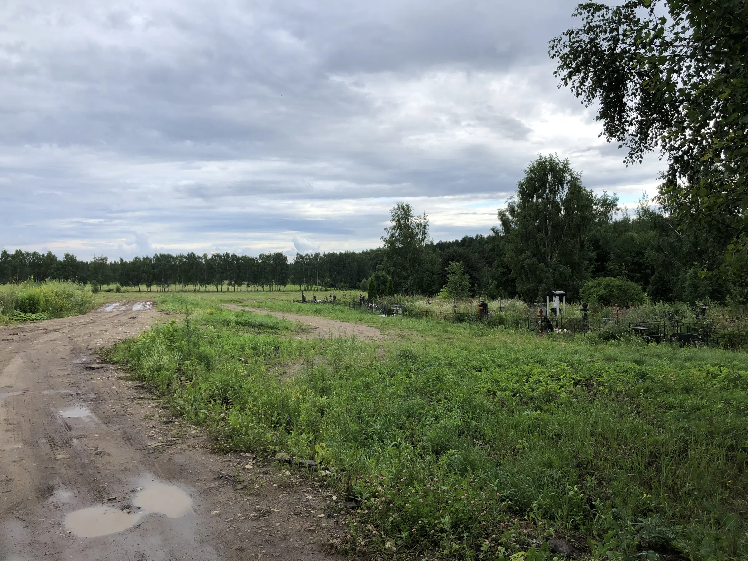 Кладбище в лесу за городом, фото 13