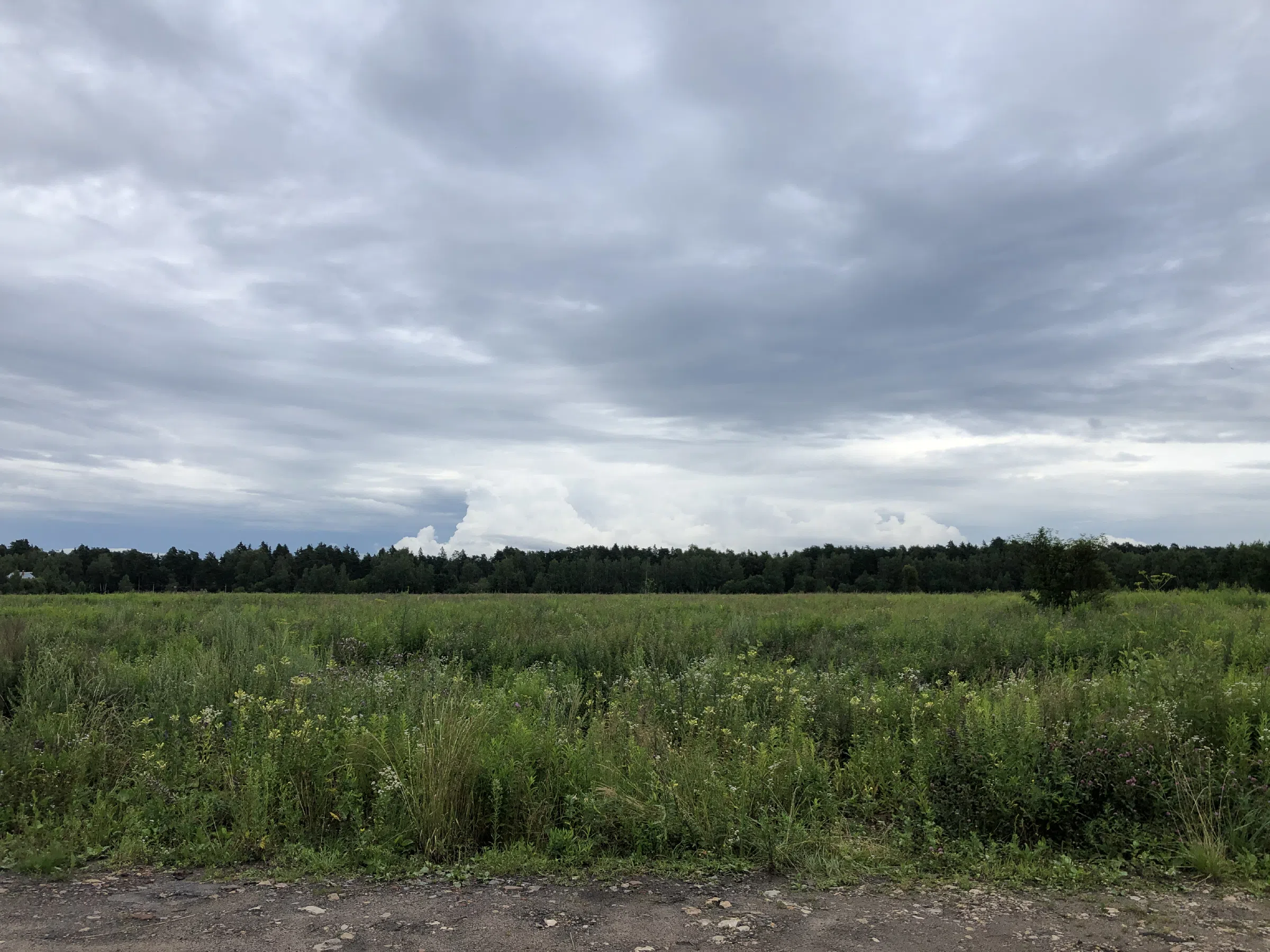 Кладбище в лесу за городом, фото 9