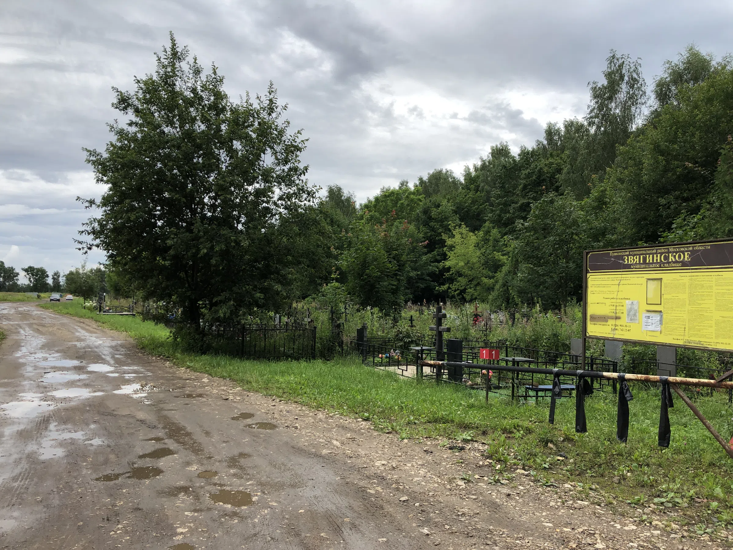Кладбище в лесу за городом, фото 1