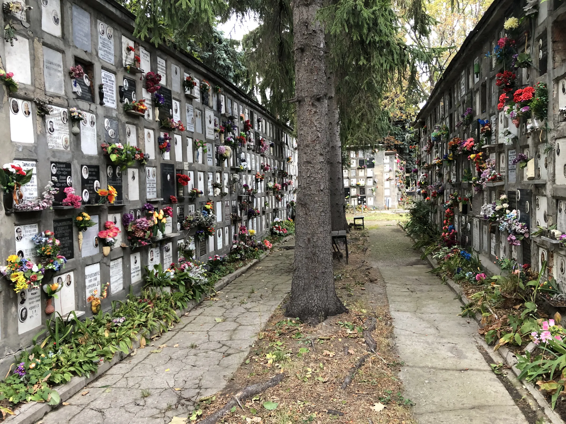 Кладбище с колумбарием, фото 24