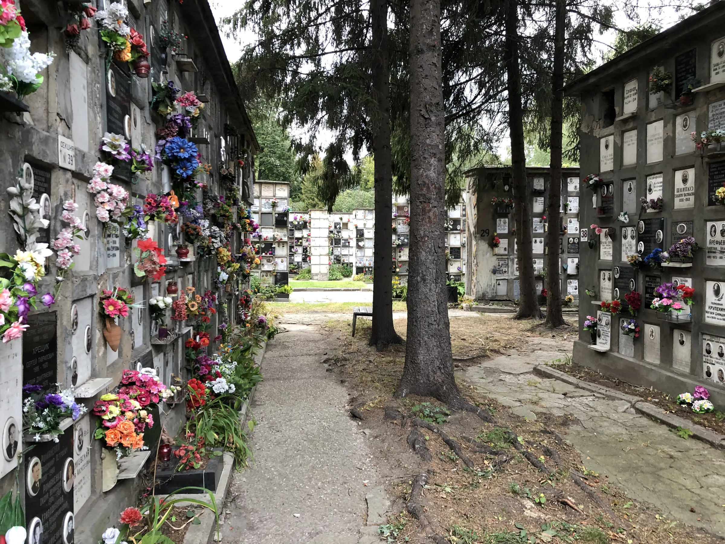 Кладбище с колумбарием, фото 23